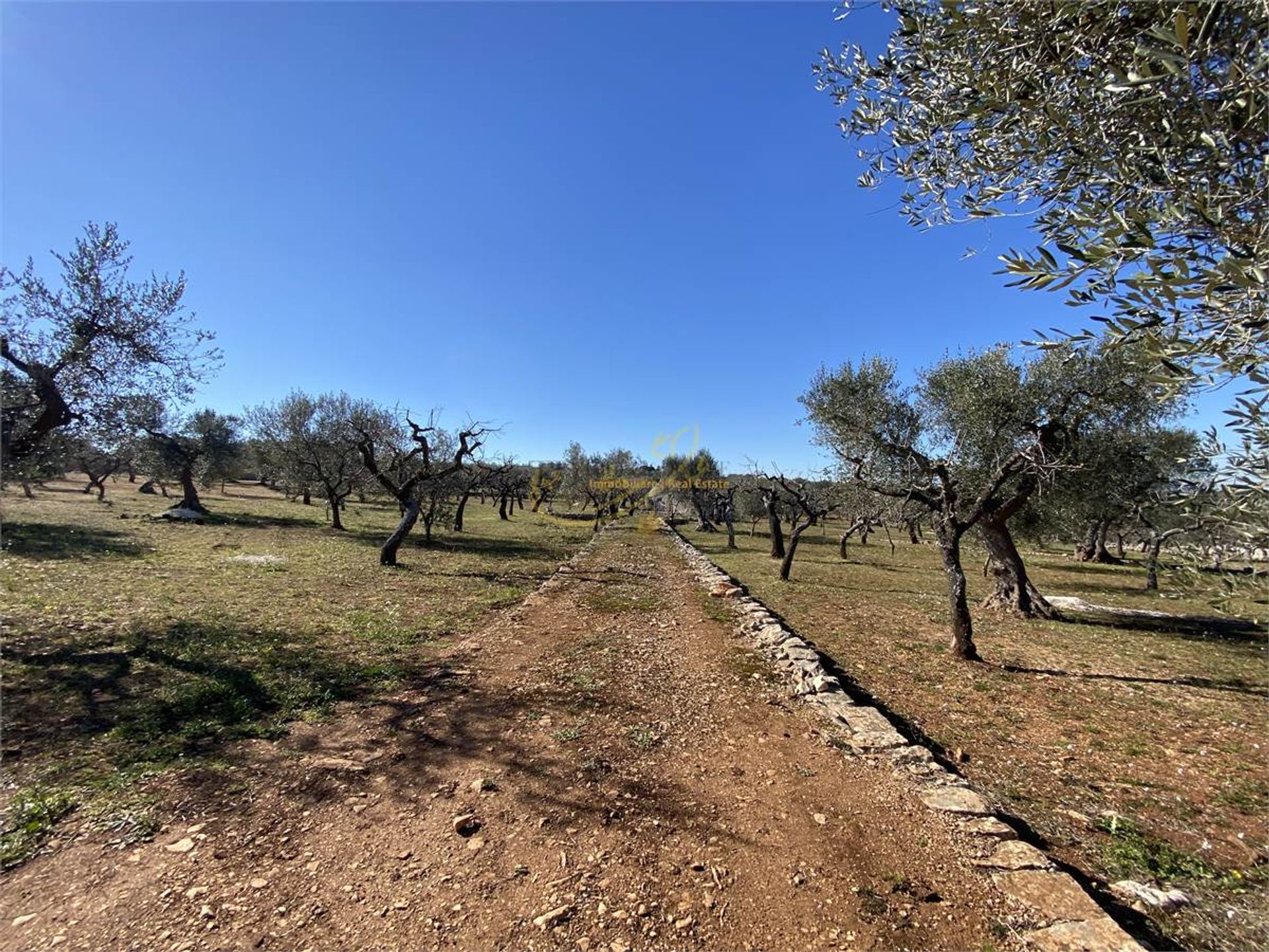 Osakehuoneisto sisään Castellana Grotte, Apulia 10148180