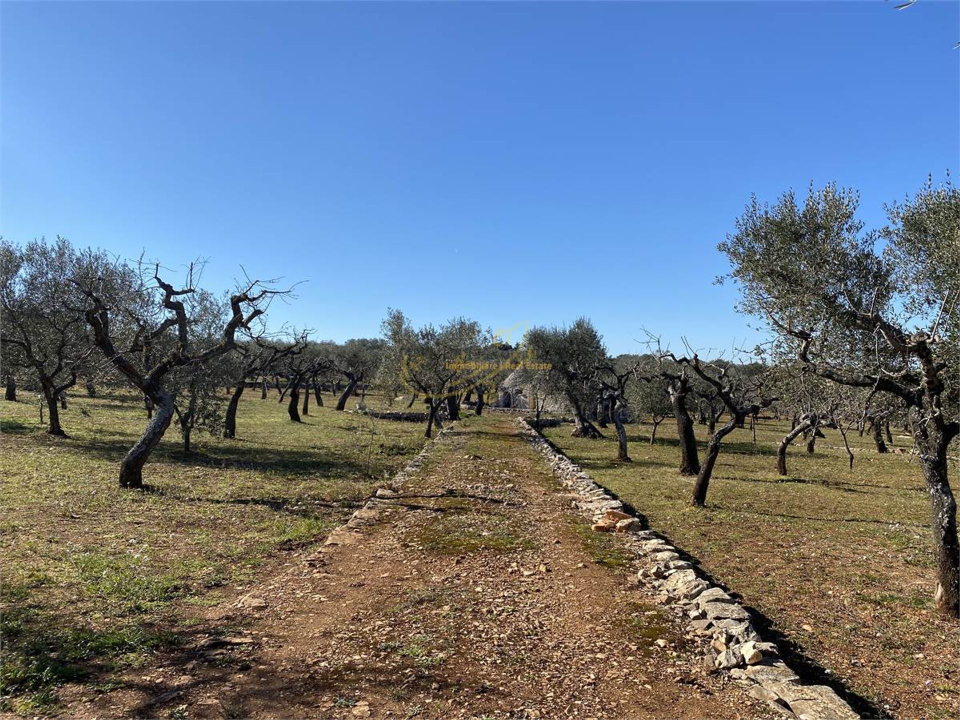 Osakehuoneisto sisään Castellana Grotte, Apulia 10148180