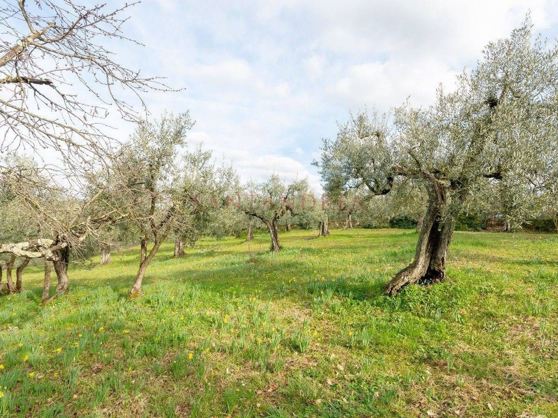 Borettslag i Impruneta, Tuscany 10149489