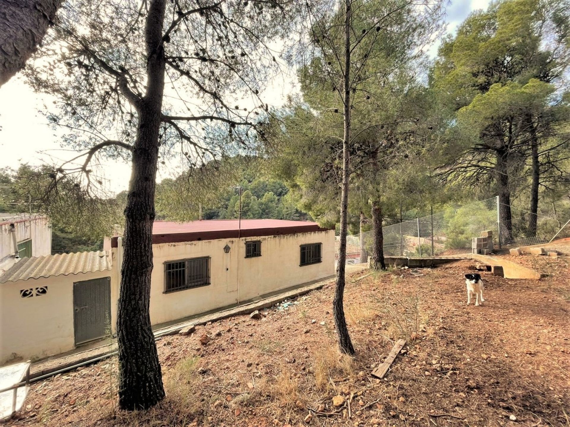 rumah dalam Náquera, Valencian Community 10149649