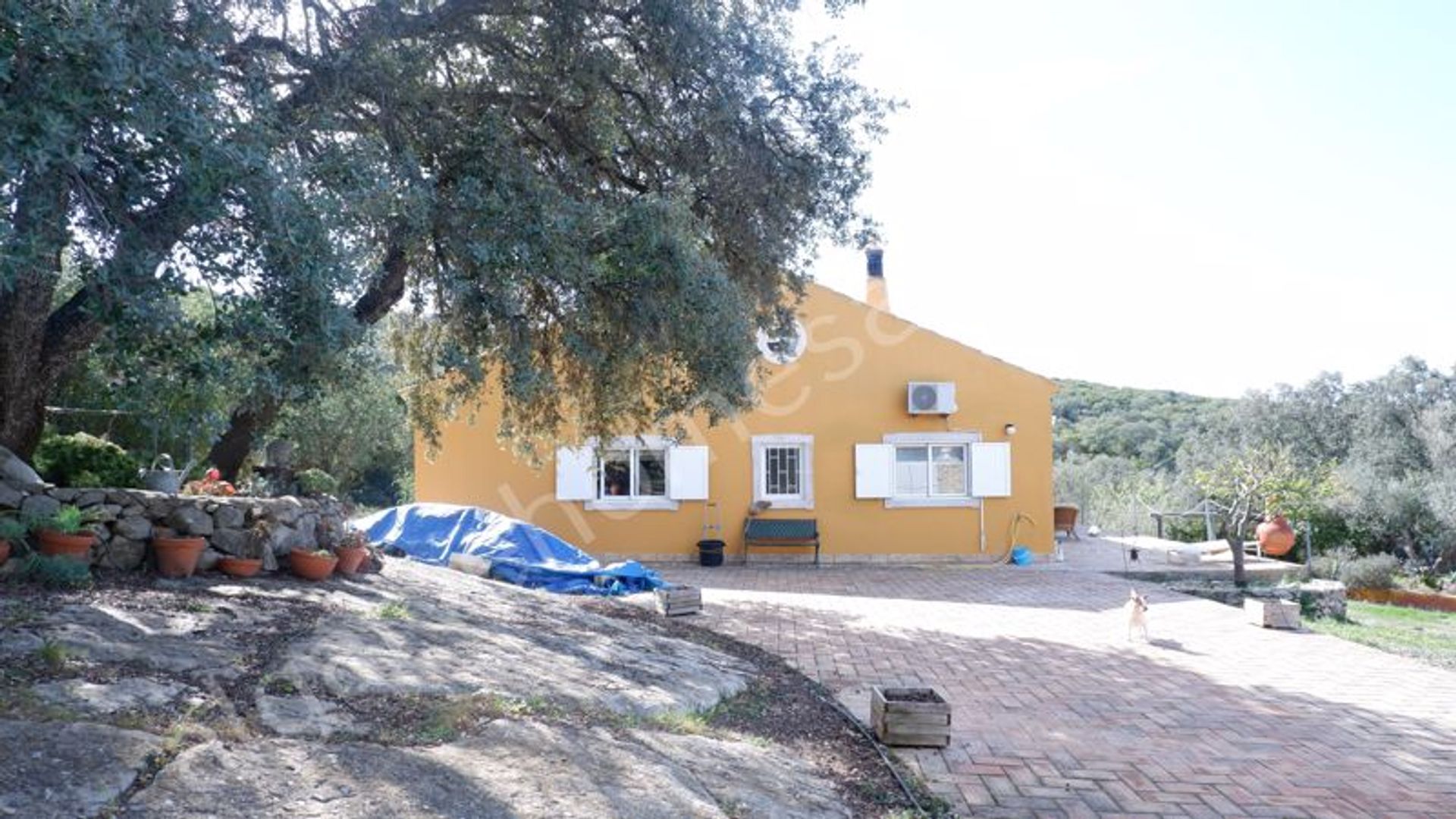 House in , Faro 10149761