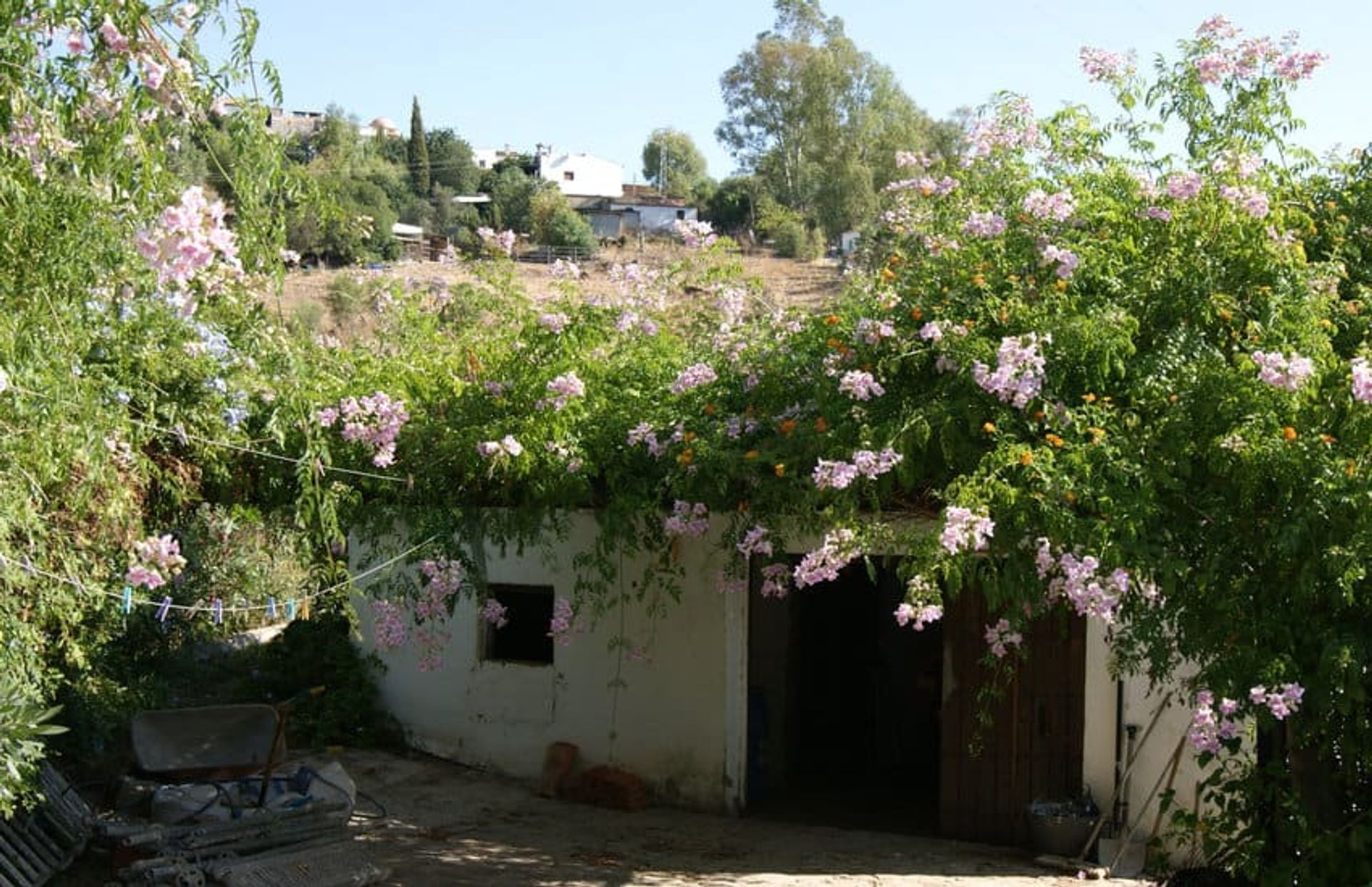 Земля в Jimena de la Frontera, Andalucía 10150299