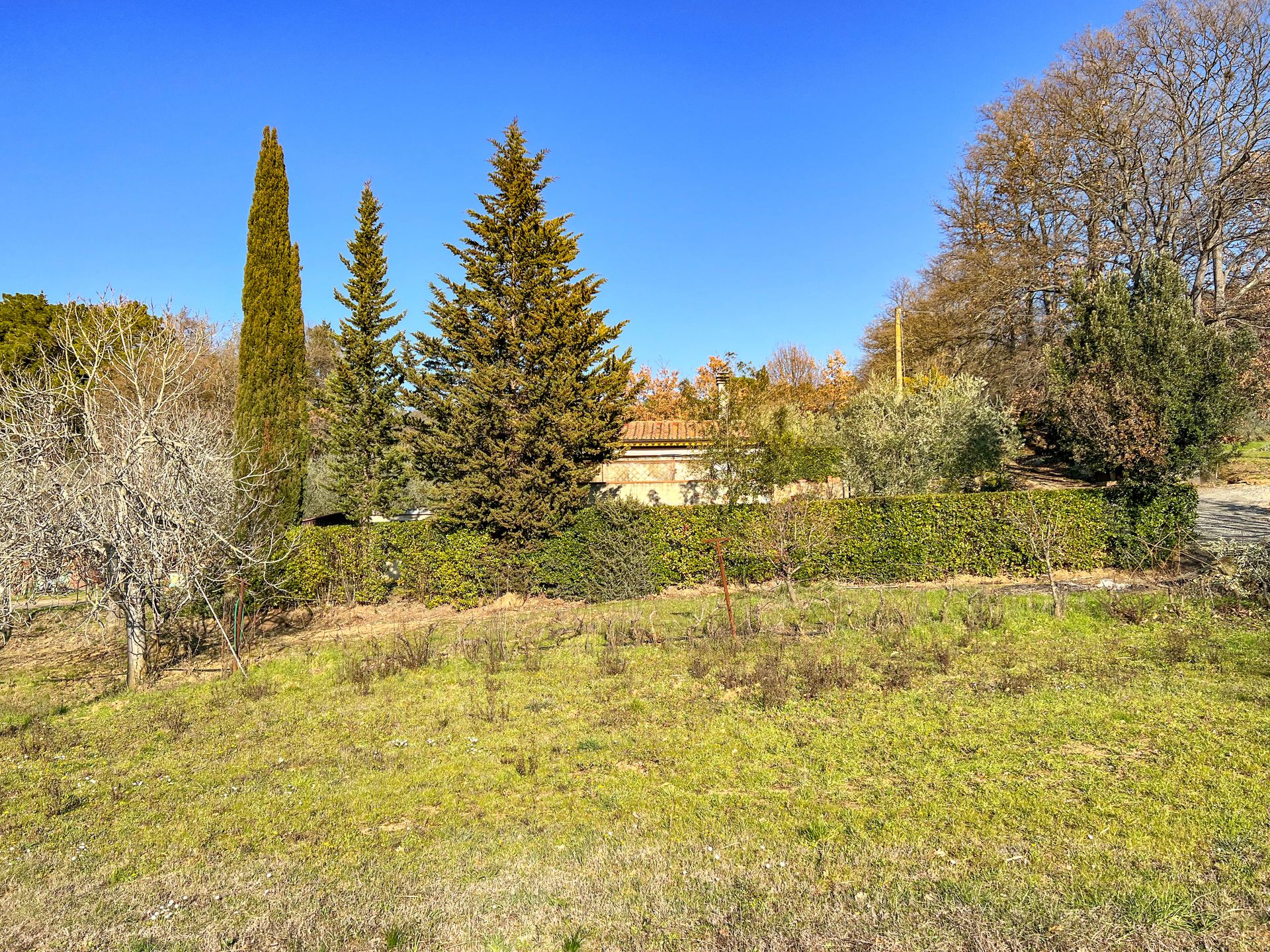 Condominium in Montescudaio, Tuscany 10151117