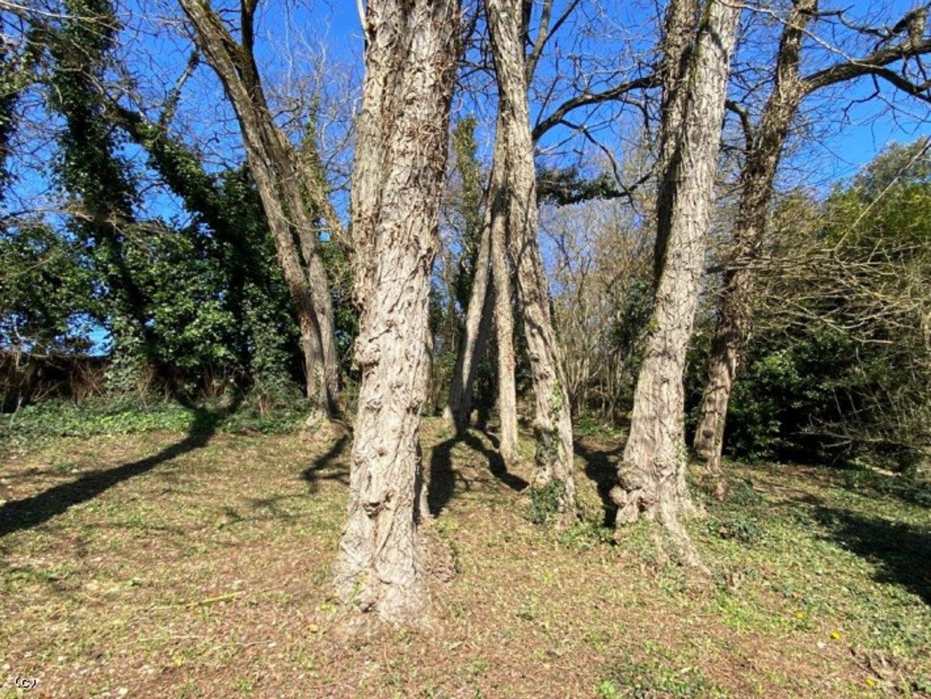 Casa nel Ruffec, Nouvelle-Aquitaine 10151312