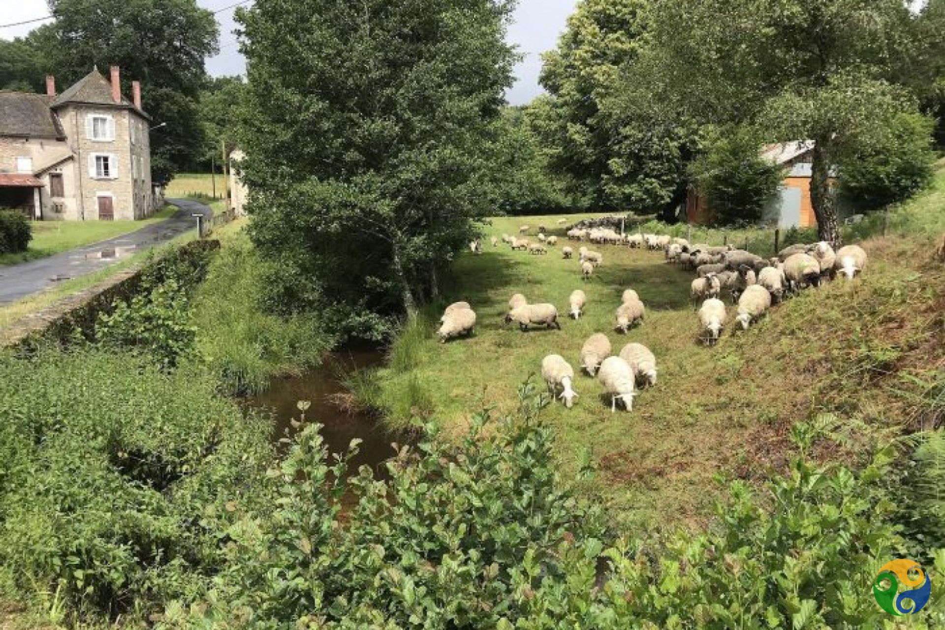 Borettslag i Saint-Julien-le-Pèlerin, Nouvelle-Aquitaine 10151698