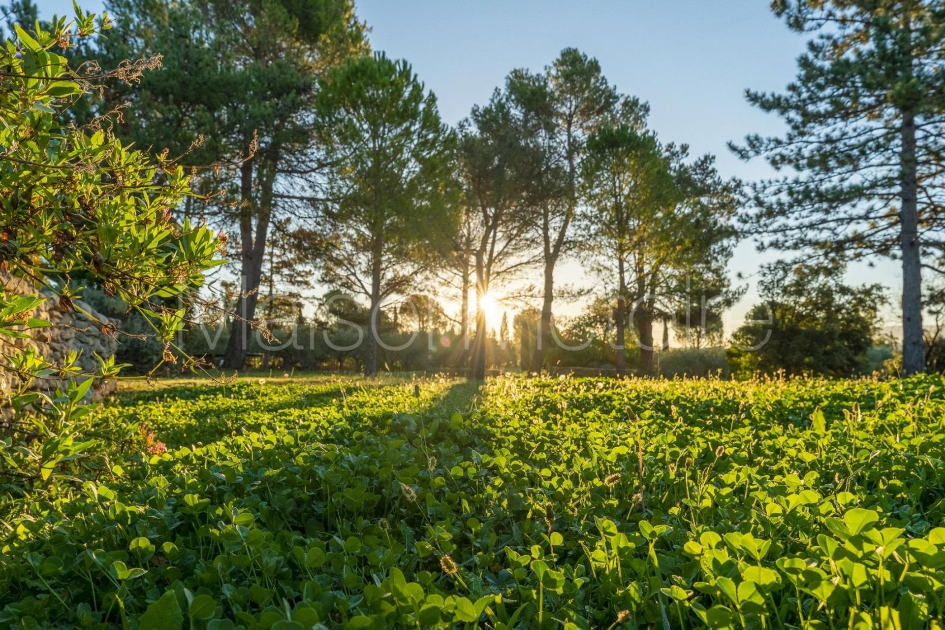 σπίτι σε Gordes, Provence-Alpes-Côte d'Azur 10151743