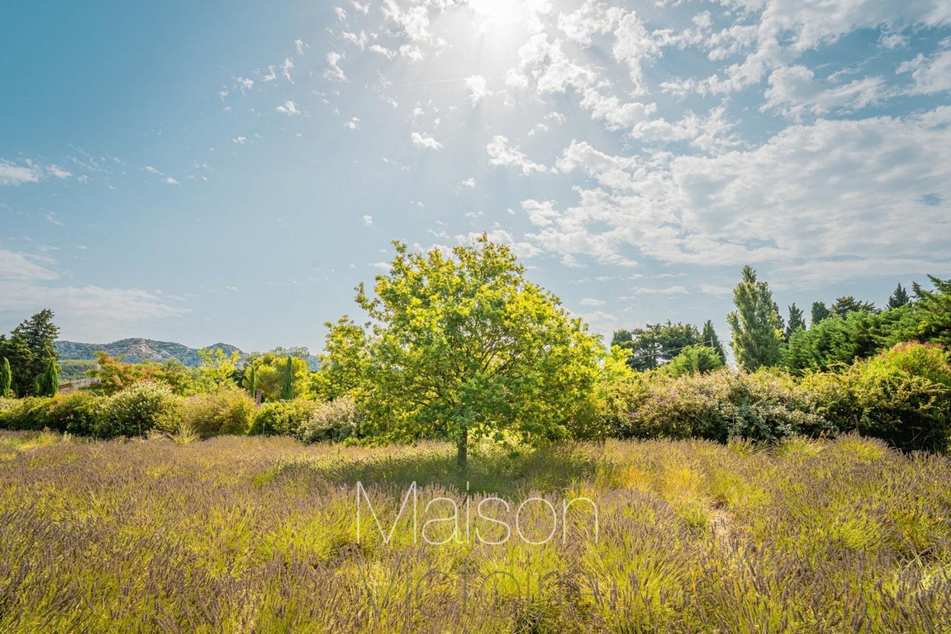 Hus i Cheval-Blanc, Provence-Alpes-Côte d'Azur 10151754