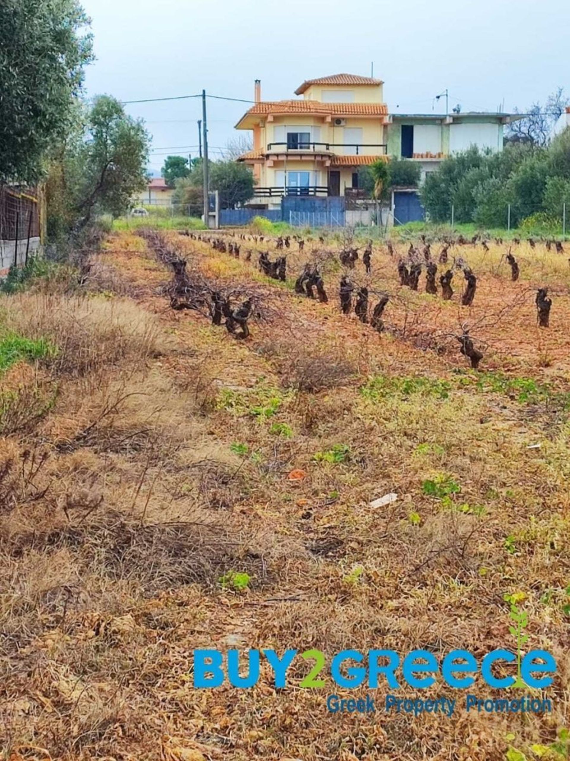 Land im Mantra Diakou, Attiki 10151816