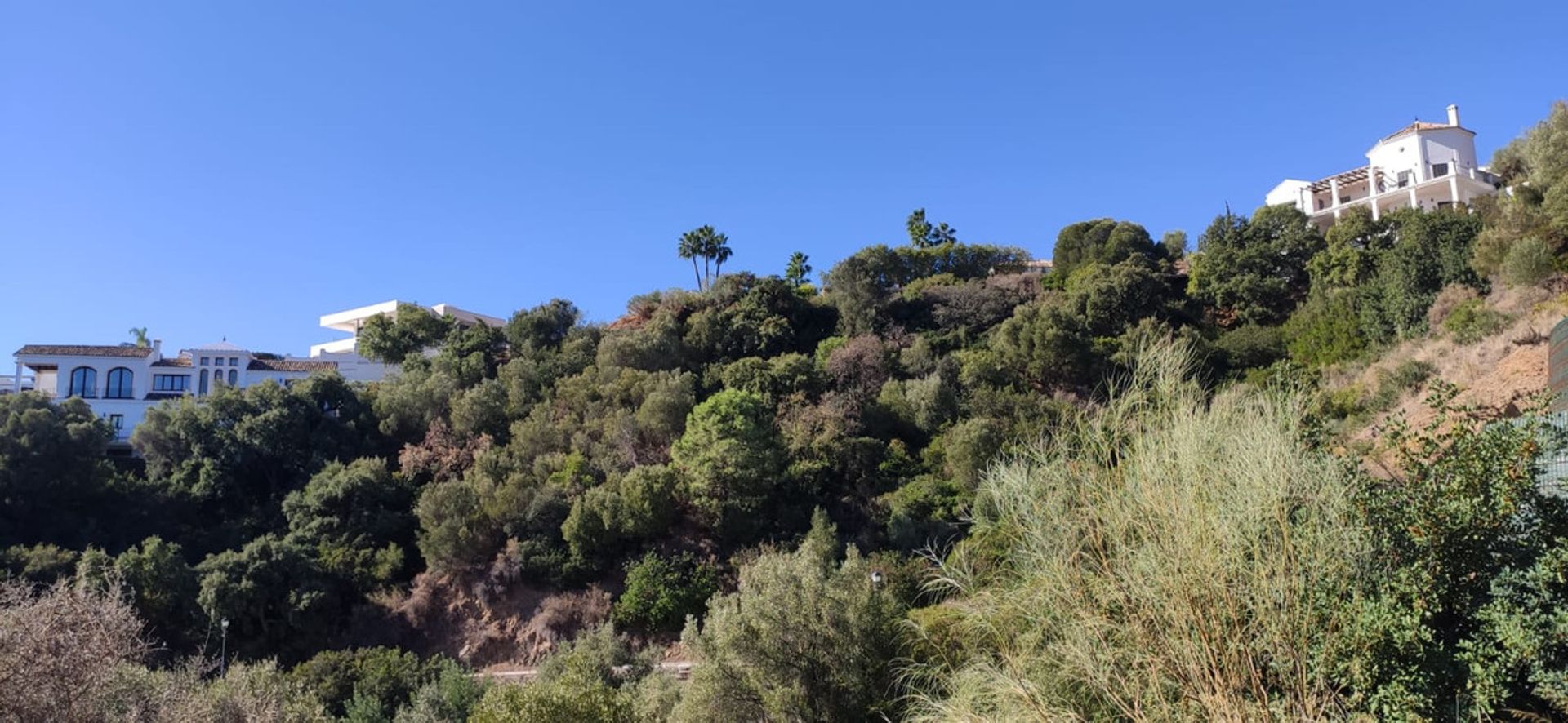 Land in Benahavis, Andalusia 10152205