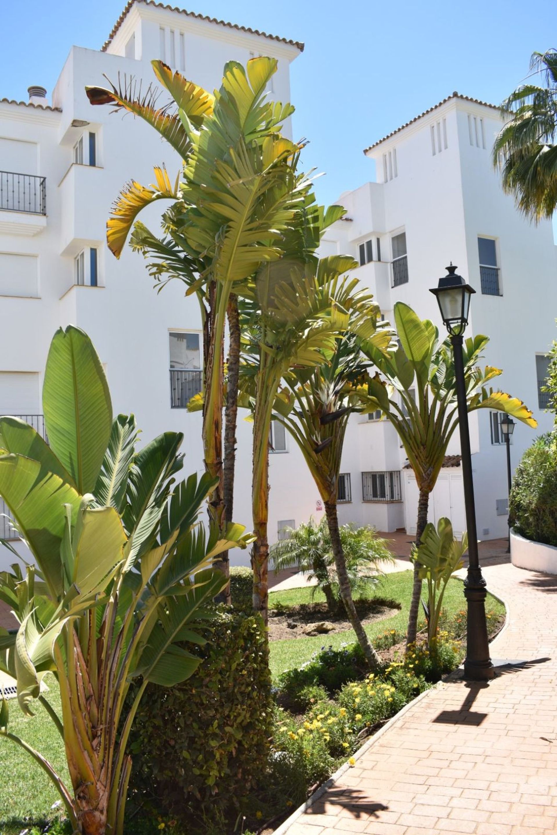 Condominio en Puerto de la Duquesa, Andalusia 10153062