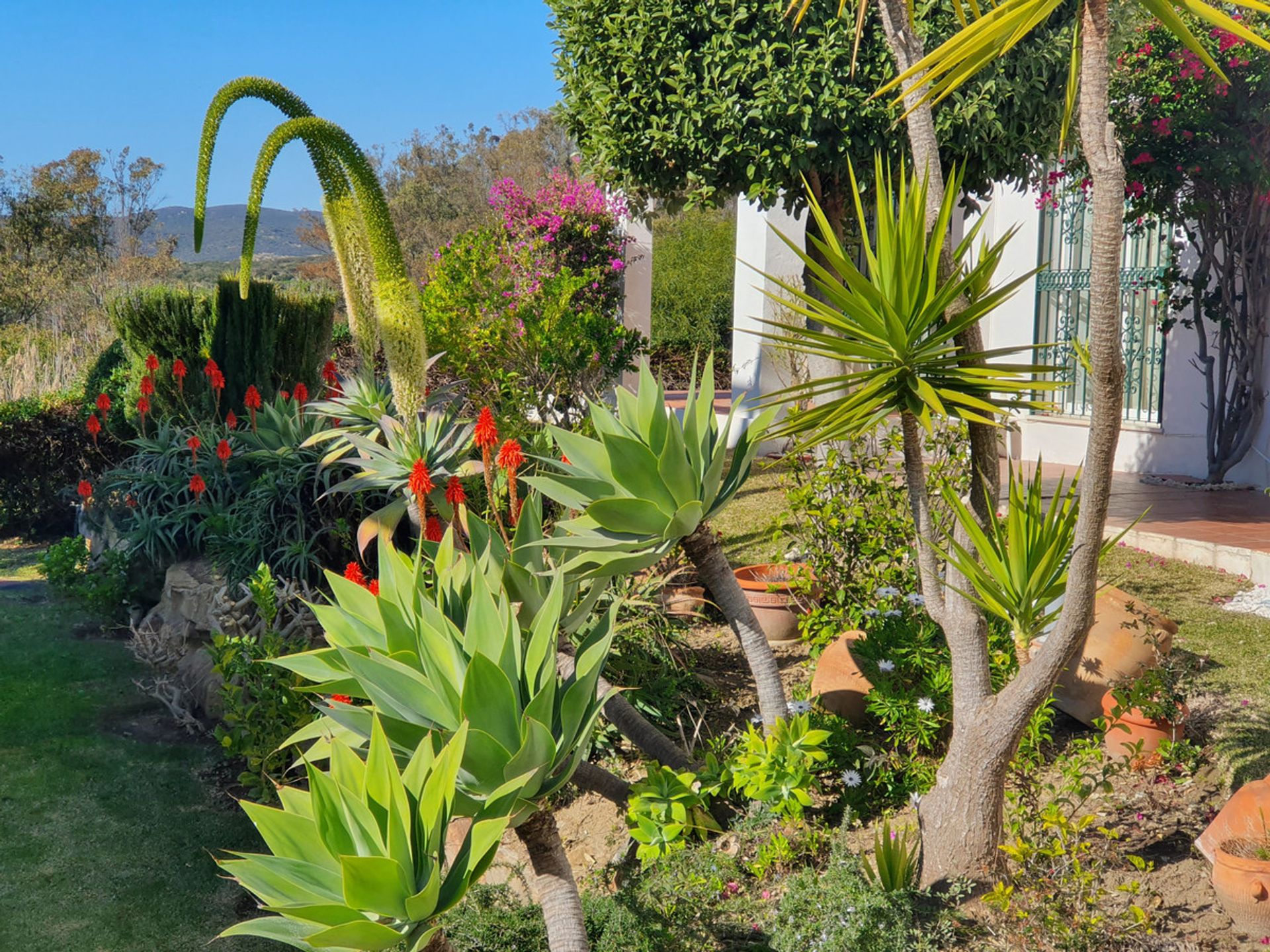 Rumah di Puerto de la Duquesa, Andalusia 10153918