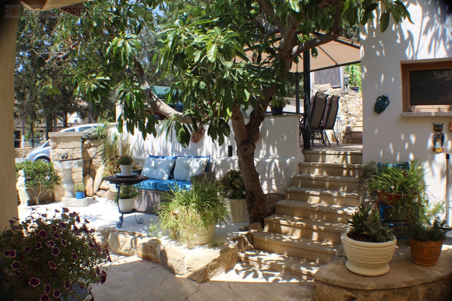 Autre dans Paphos, Paphos 10155445