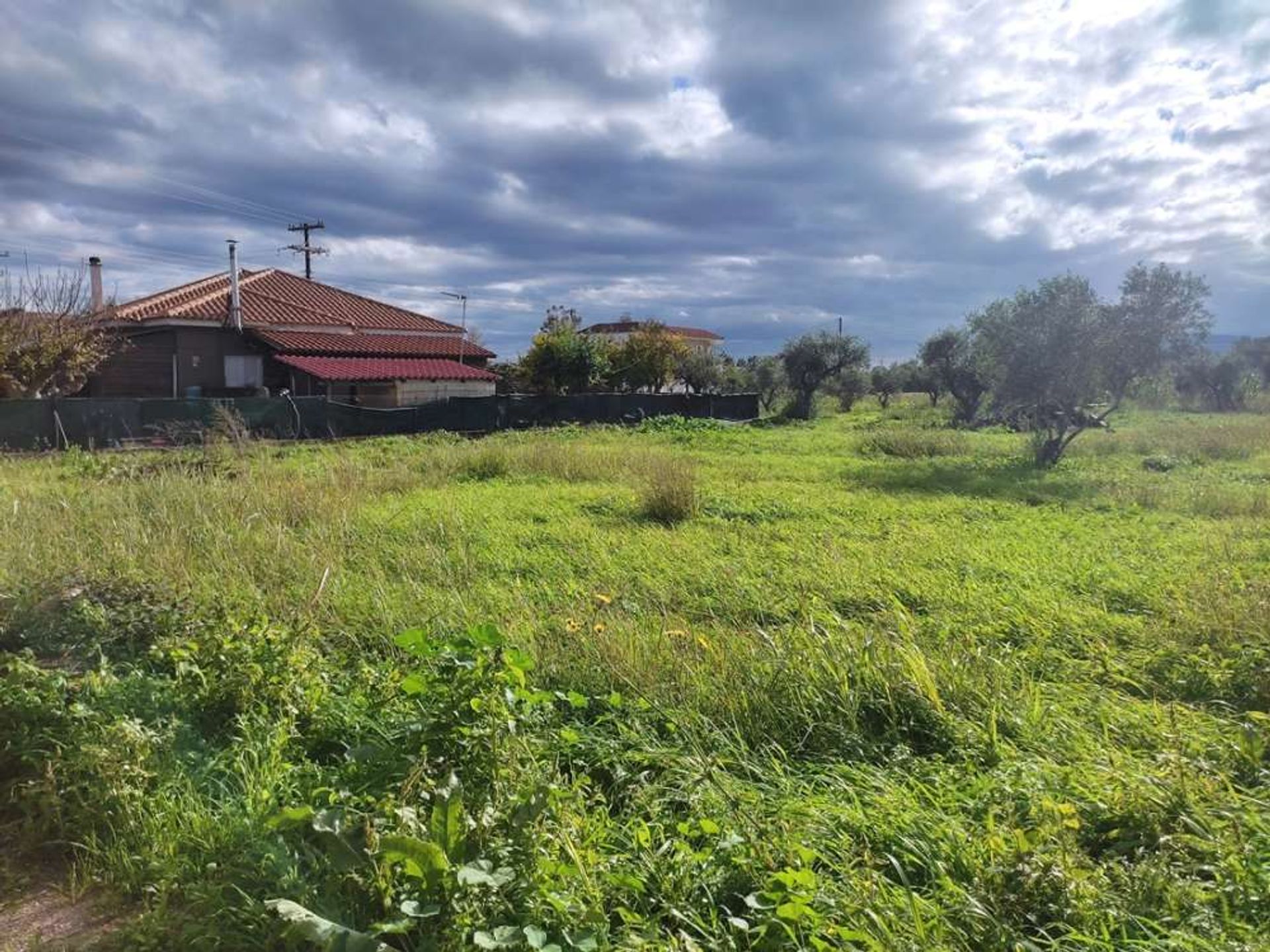 Tierra en bochalí, Jonia Nisia 10157531