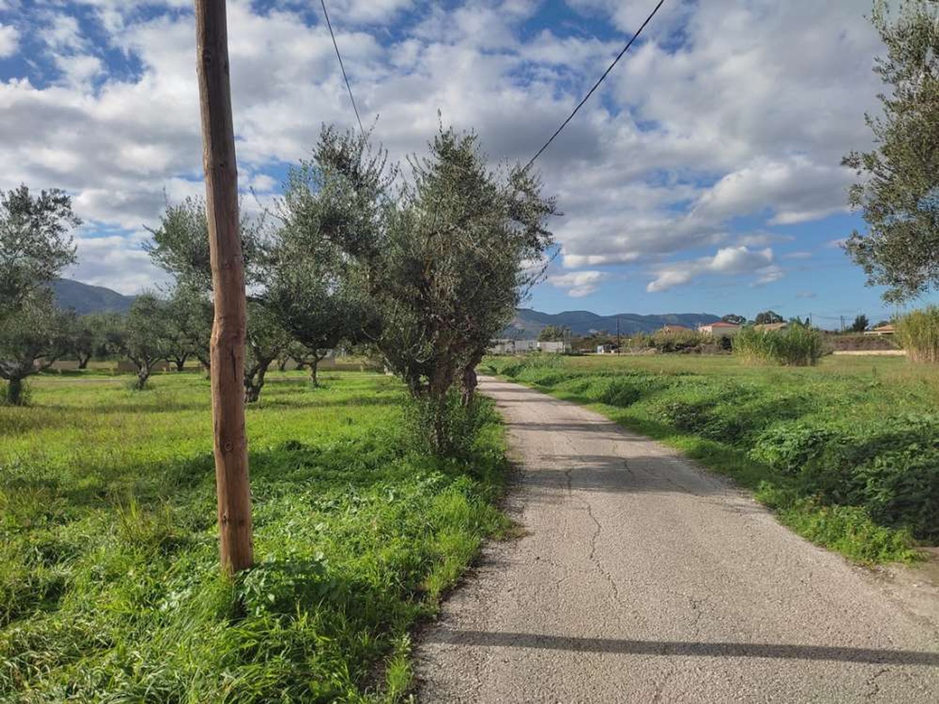 Tierra en bochalí, Jonia Nisia 10157531