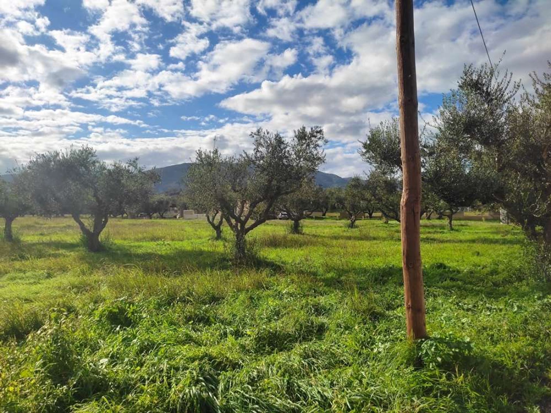 Tierra en bochalí, Jonia Nisia 10157531