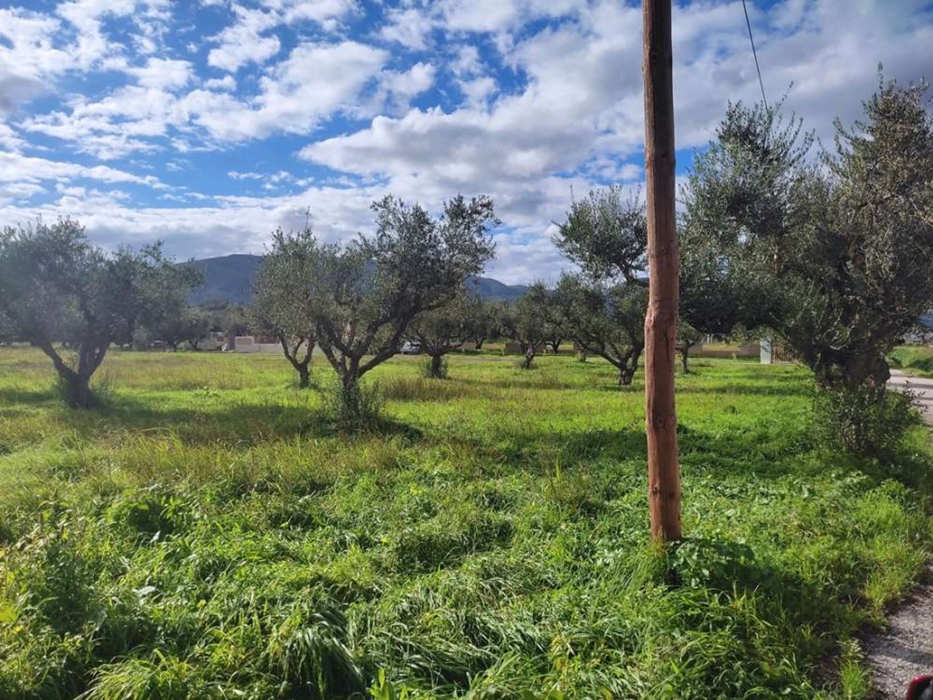 Tierra en bochalí, Jonia Nisia 10157531