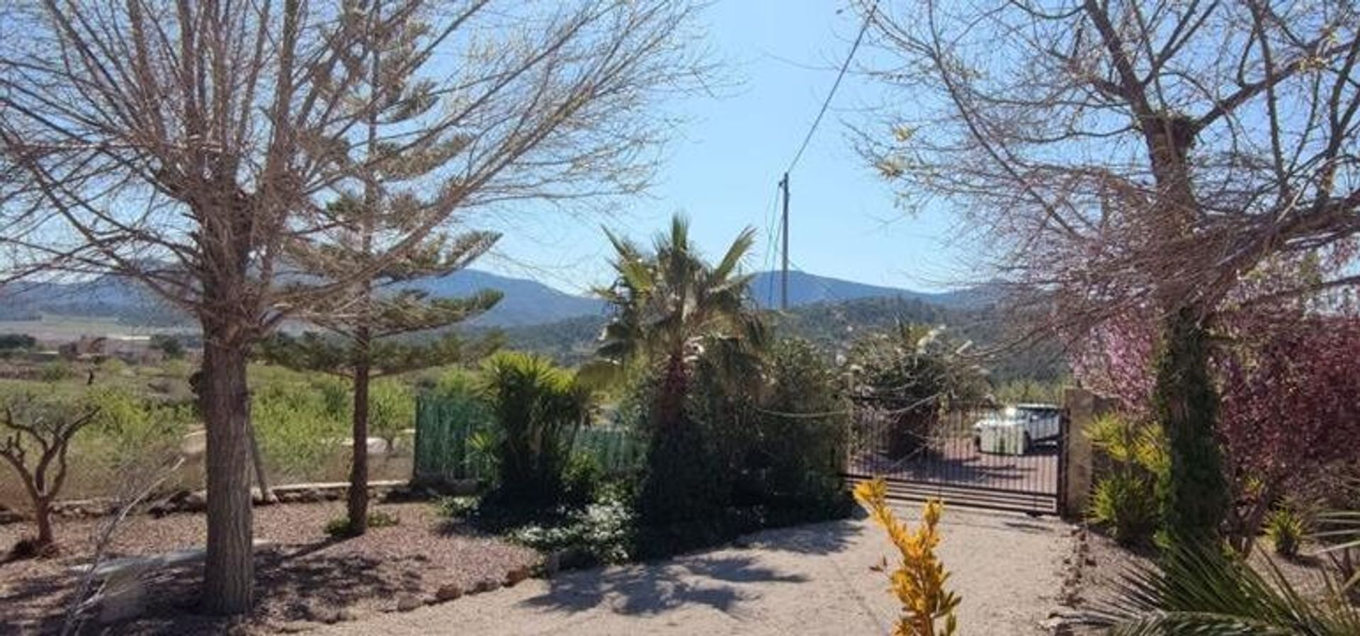 casa en El Fondó de les Neus, Valencian Community 10157799