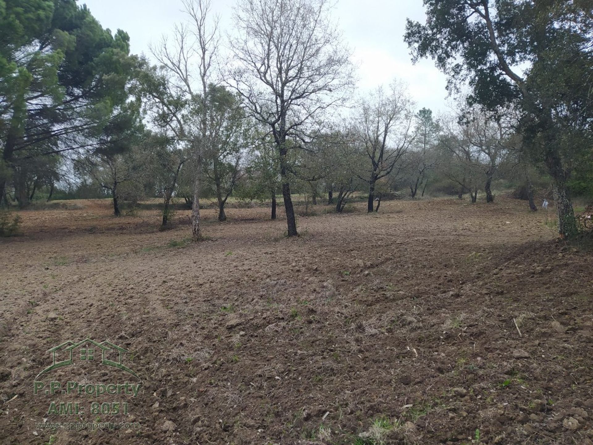 Land in Palhava, Santarem 10158121