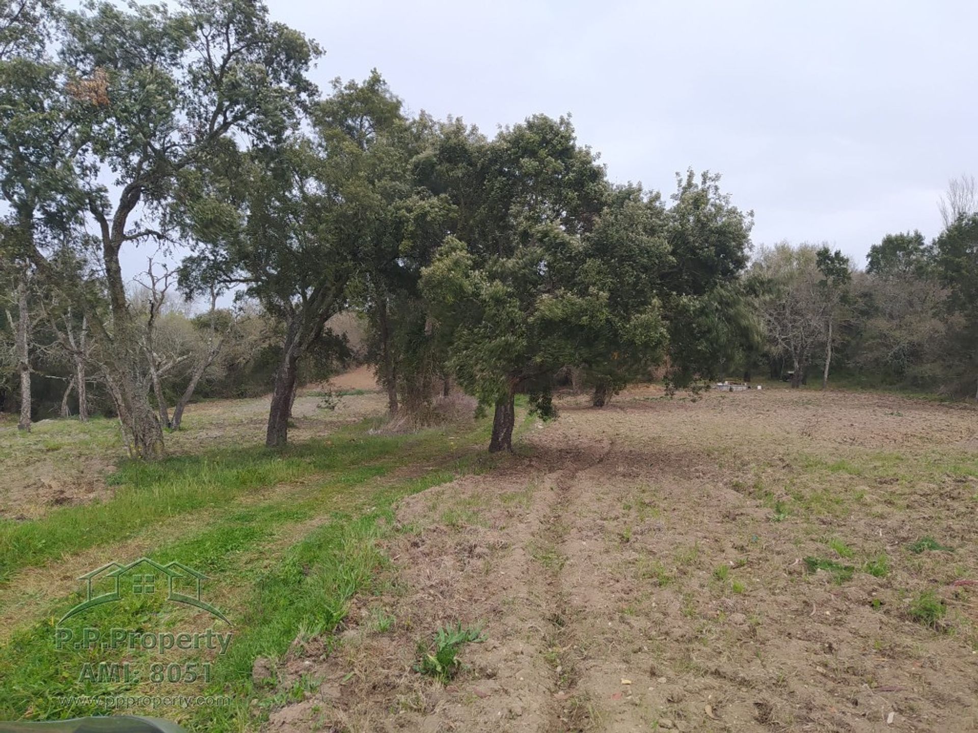 Land in Tomar, Santarém District 10158121