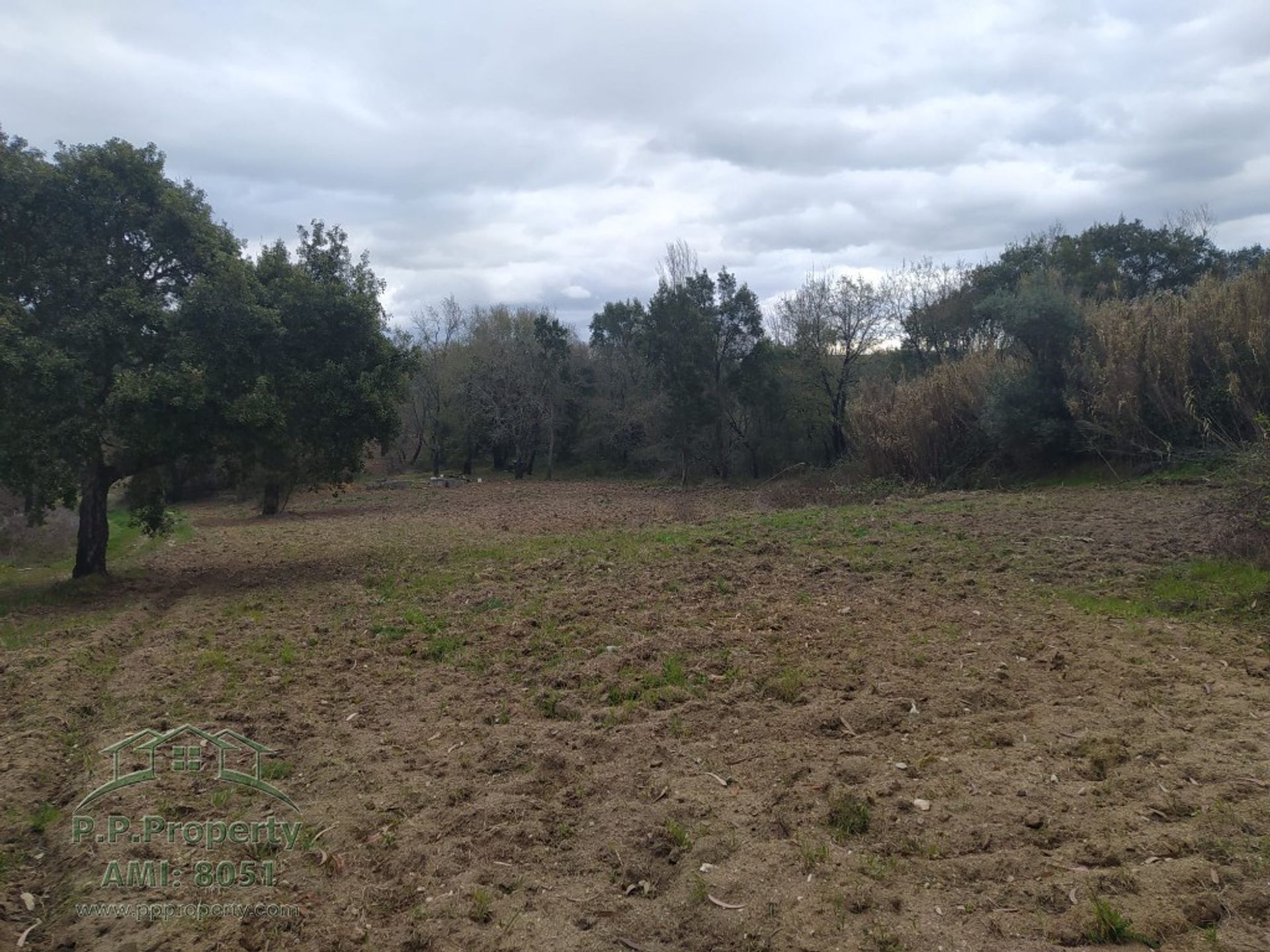 Land in Tomar, Santarém District 10158121