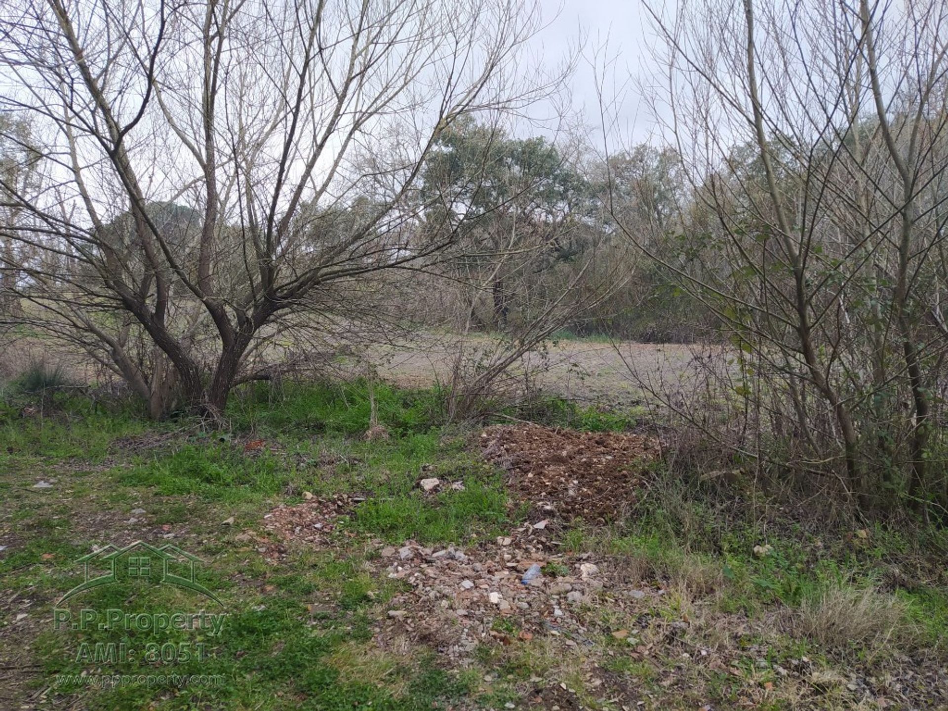 Terra no Palhava, Santarém 10158121