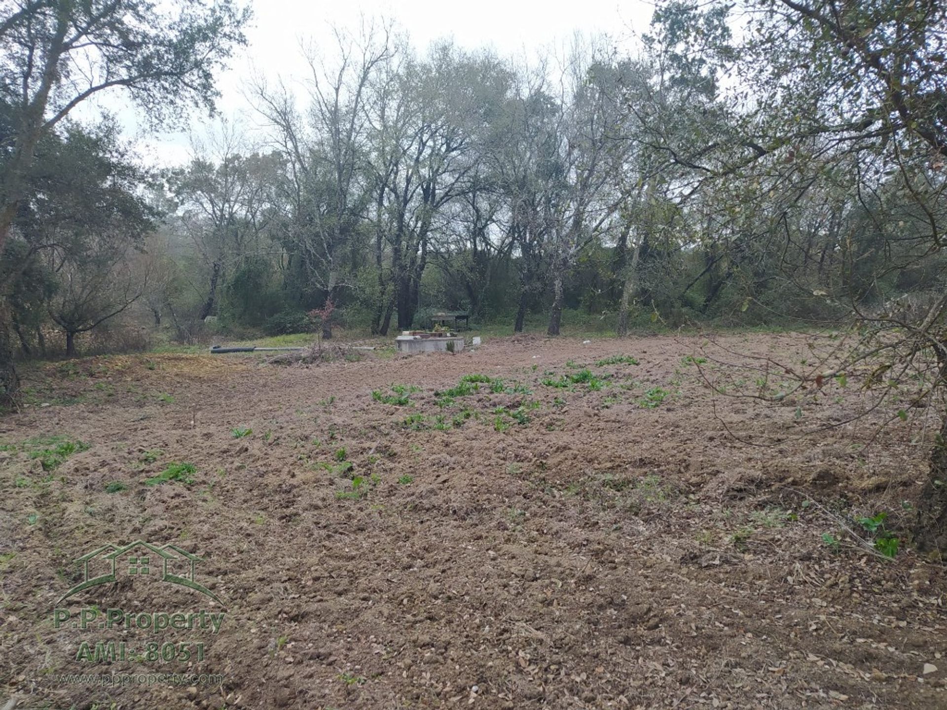 Land in Tomar, Santarém District 10158121