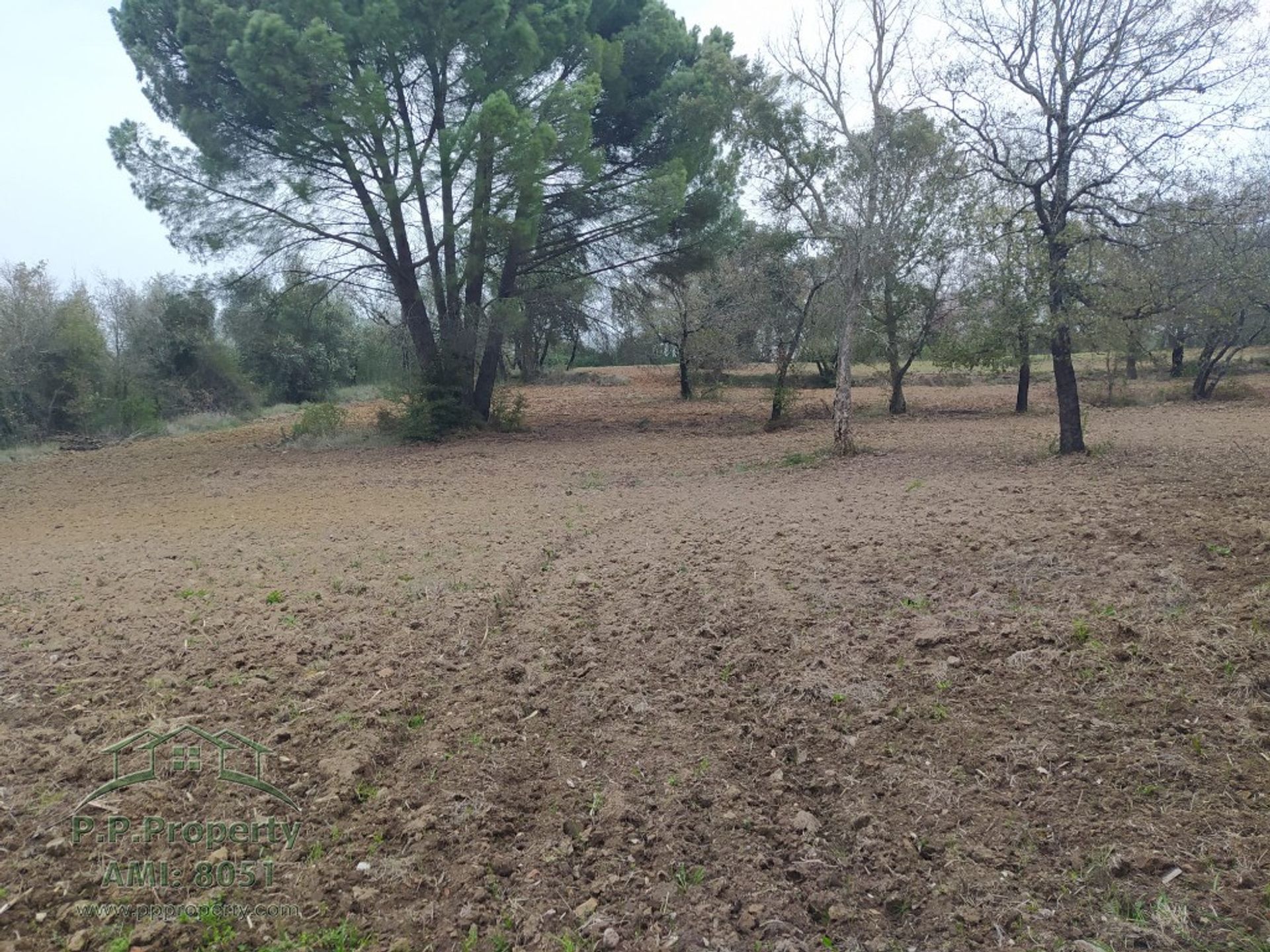 Land i Palhava, Santarem 10158121