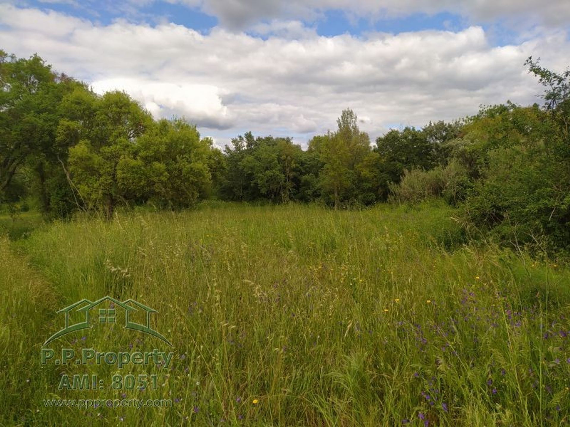 Land in Tomar, Santarém District 10158121