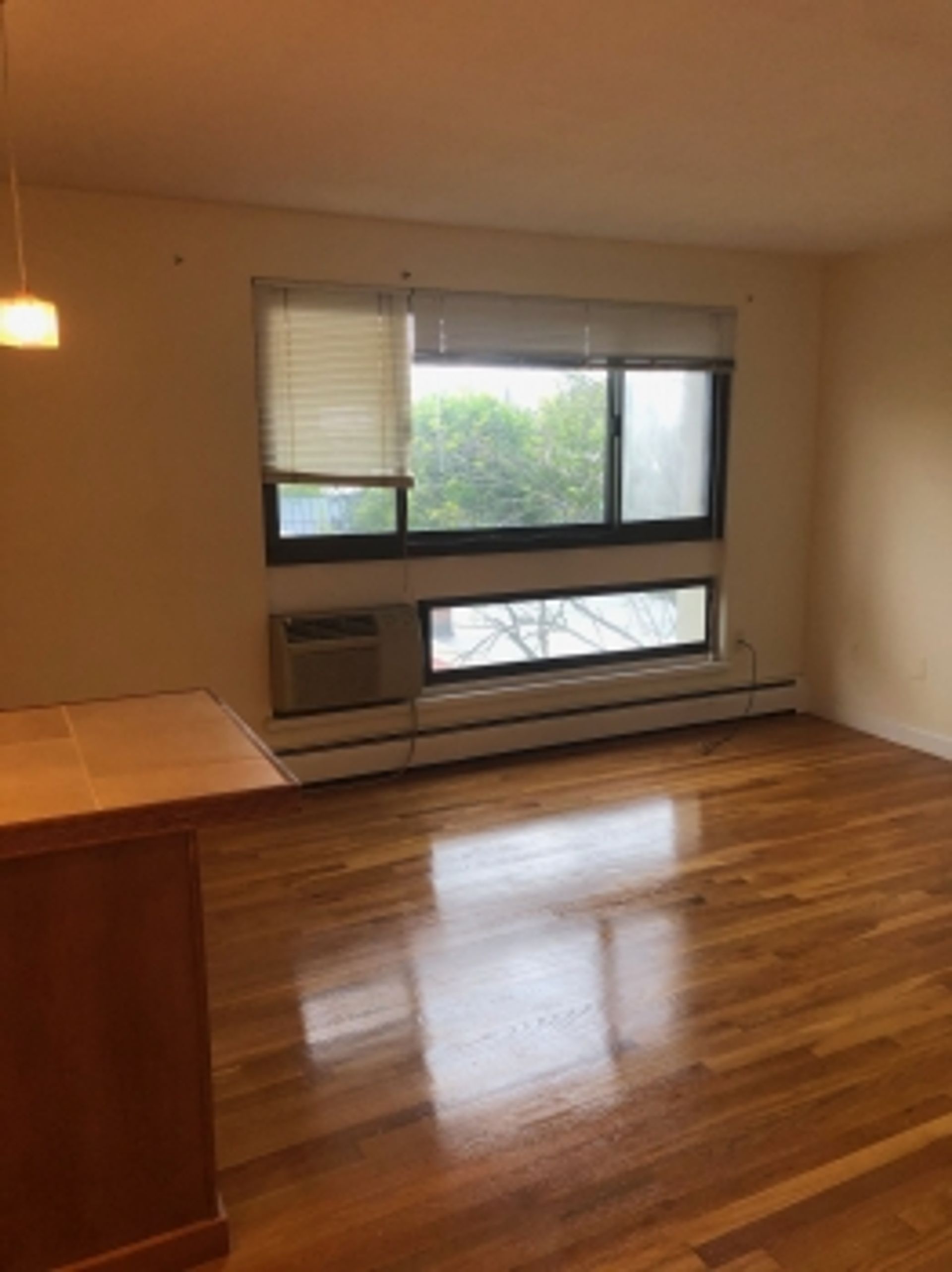 Condominium in Oud Cambridge, Massachusetts 10159690