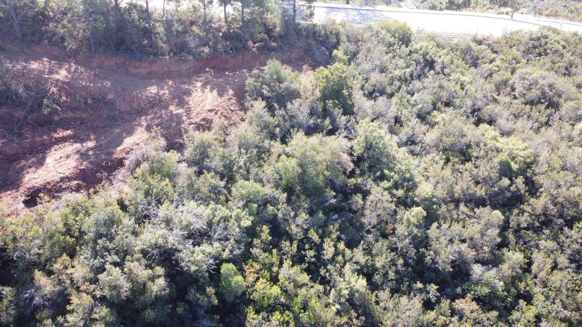 土地 在 Benahavís, Andalusia 10160322