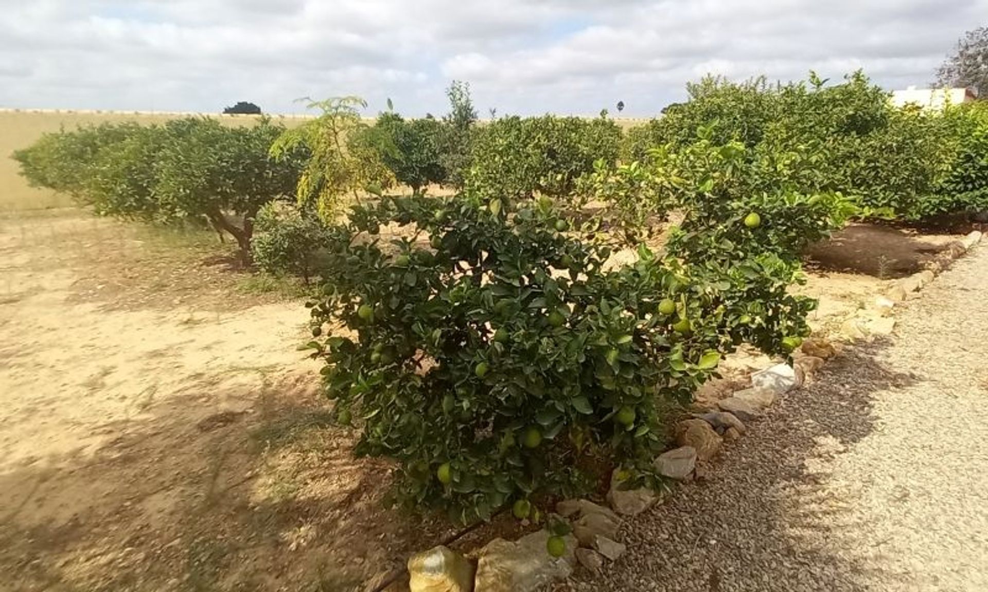 rumah dalam San Javier, Región de Murcia 10161811