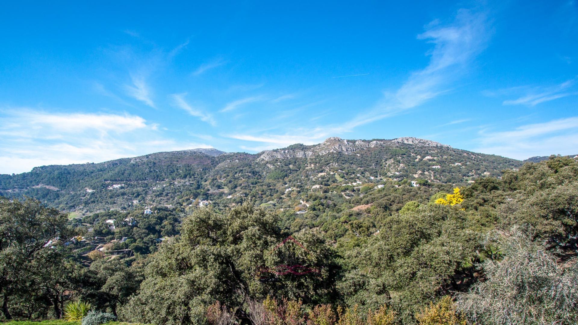 집 에 Casares, Andalusia 10161990