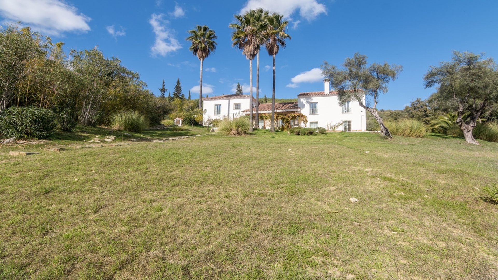 Casa nel Casares, Andalusia 10161994