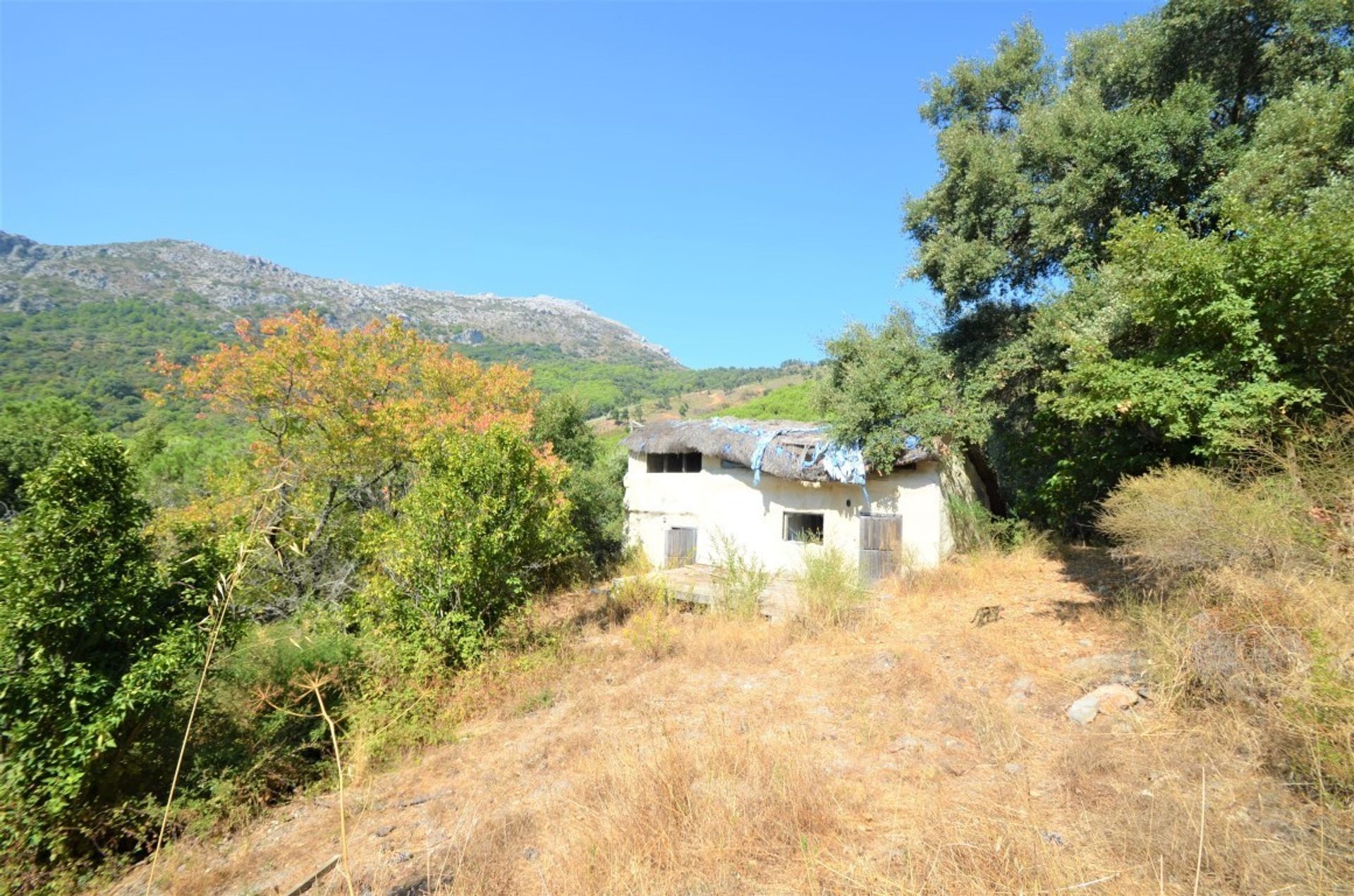 房子 在 Casares, Andalusia 10163466