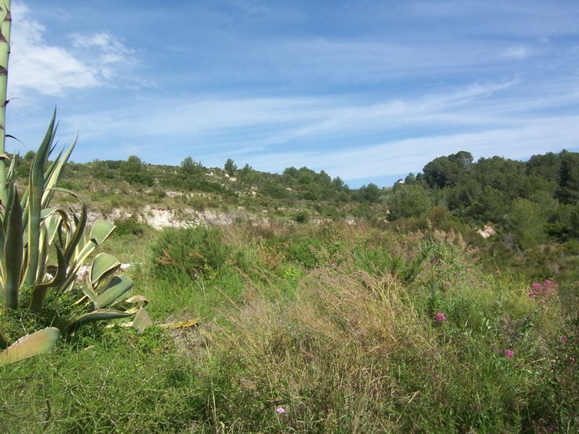 Terra no Teulada, Valencia 10166041