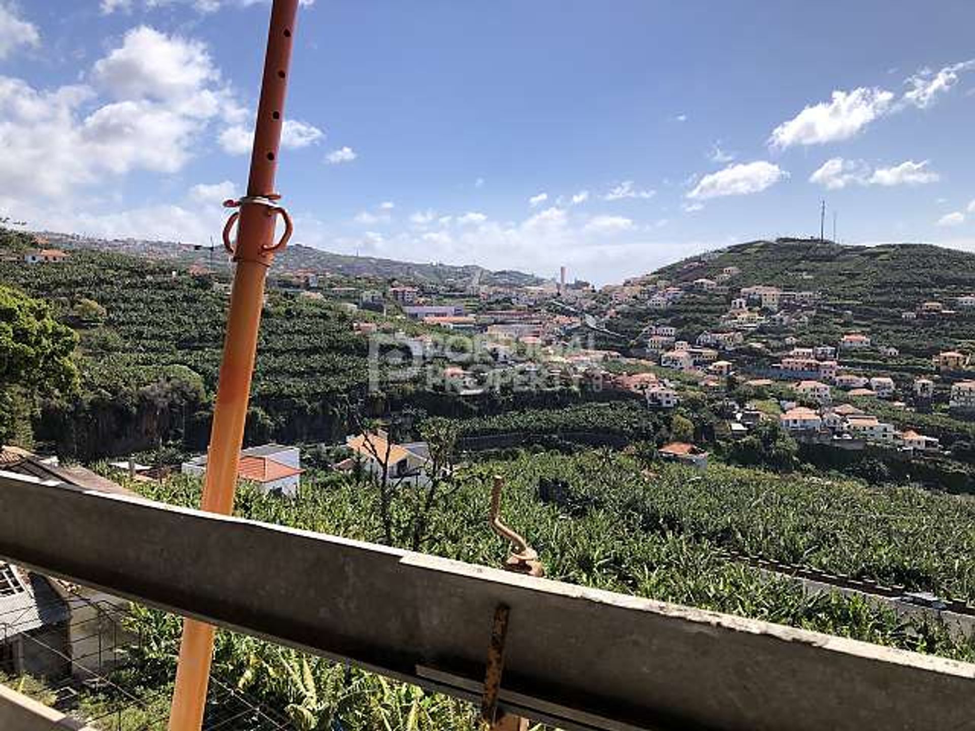 Osakehuoneisto sisään Câmara De Lobos, Madeira 10166100