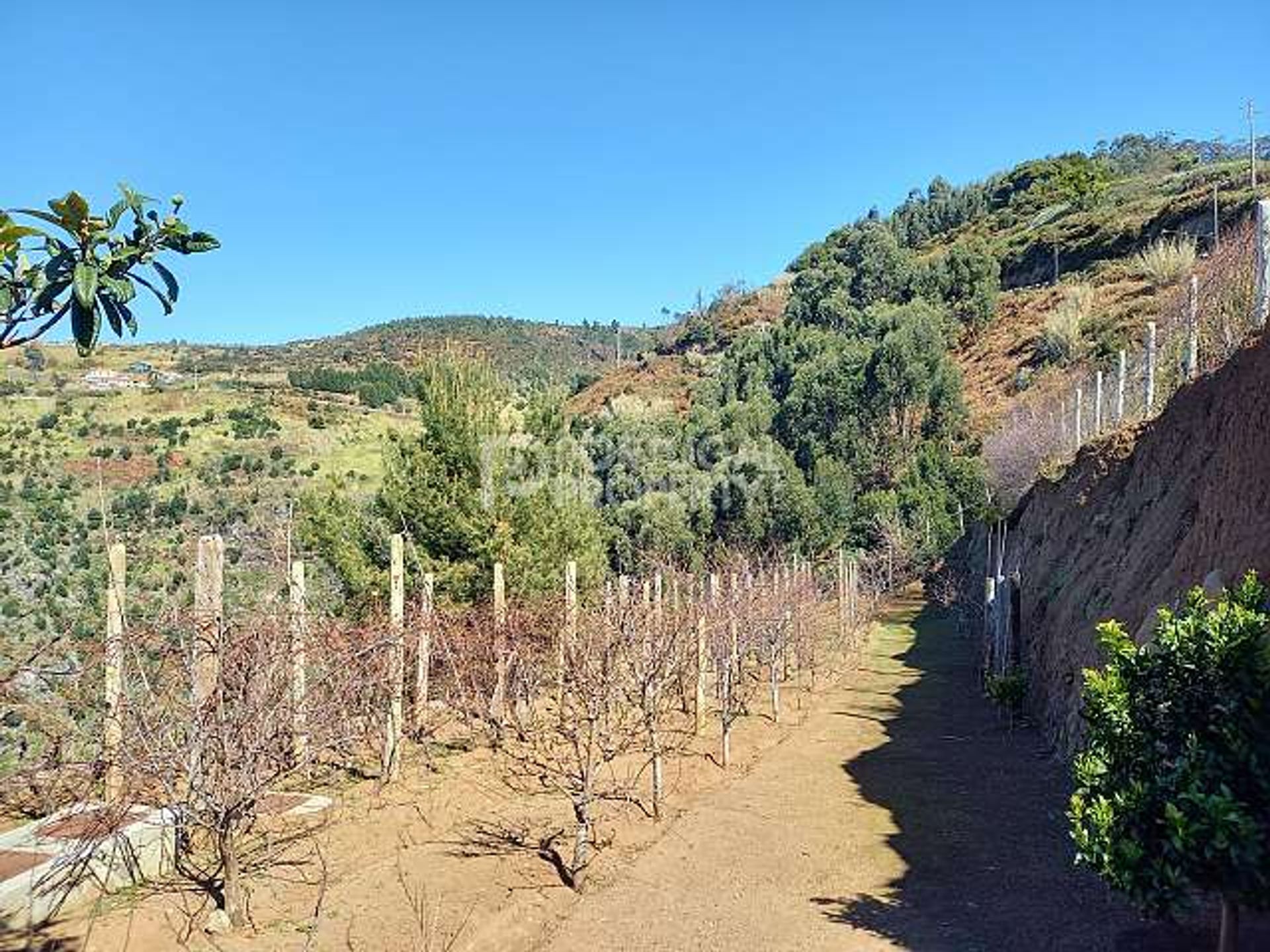 σπίτι σε Estreito da Calheta, Madeira 10166121