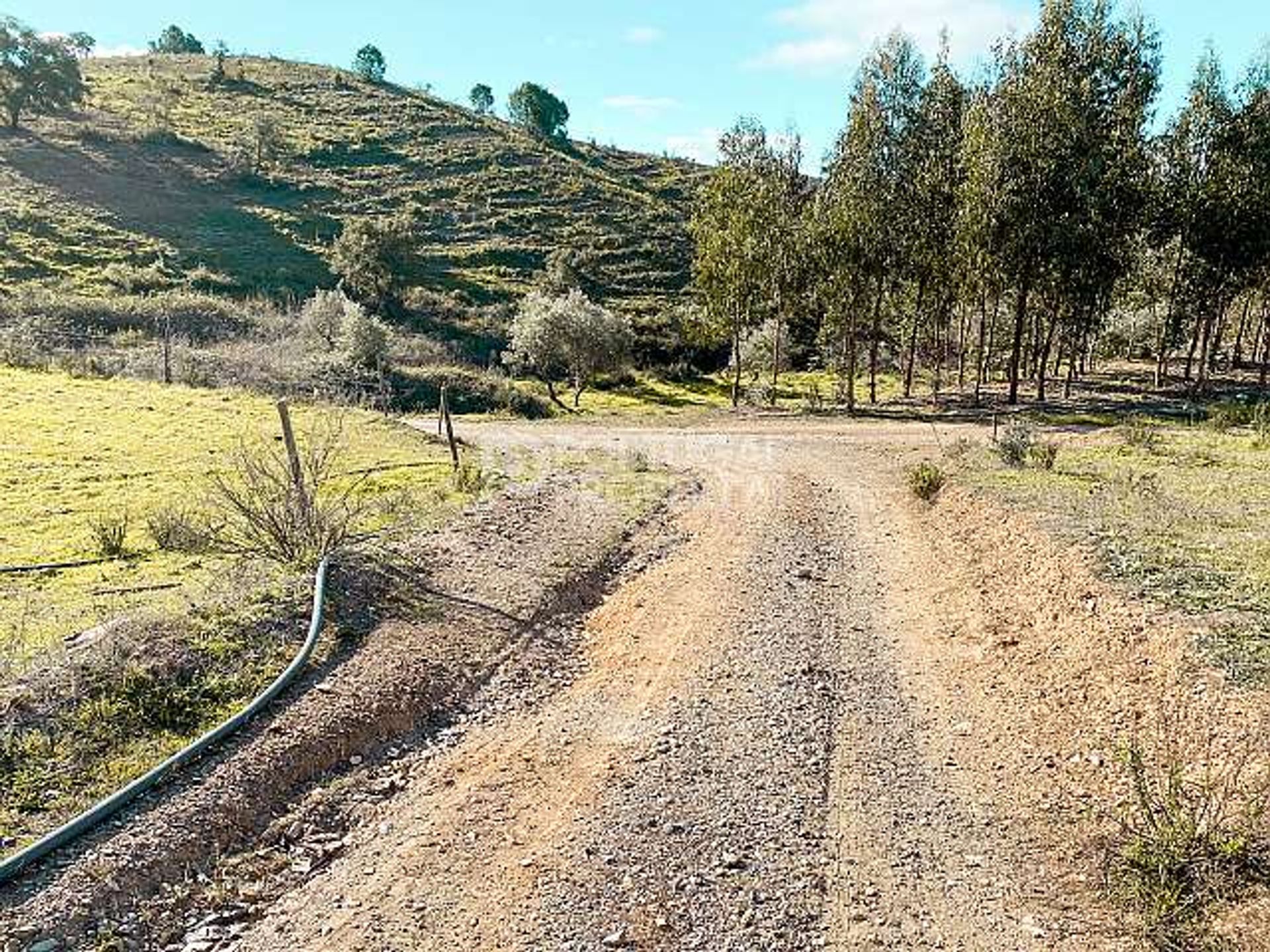 Tanah di São Bartolomeu de Messines, Faro 10166125