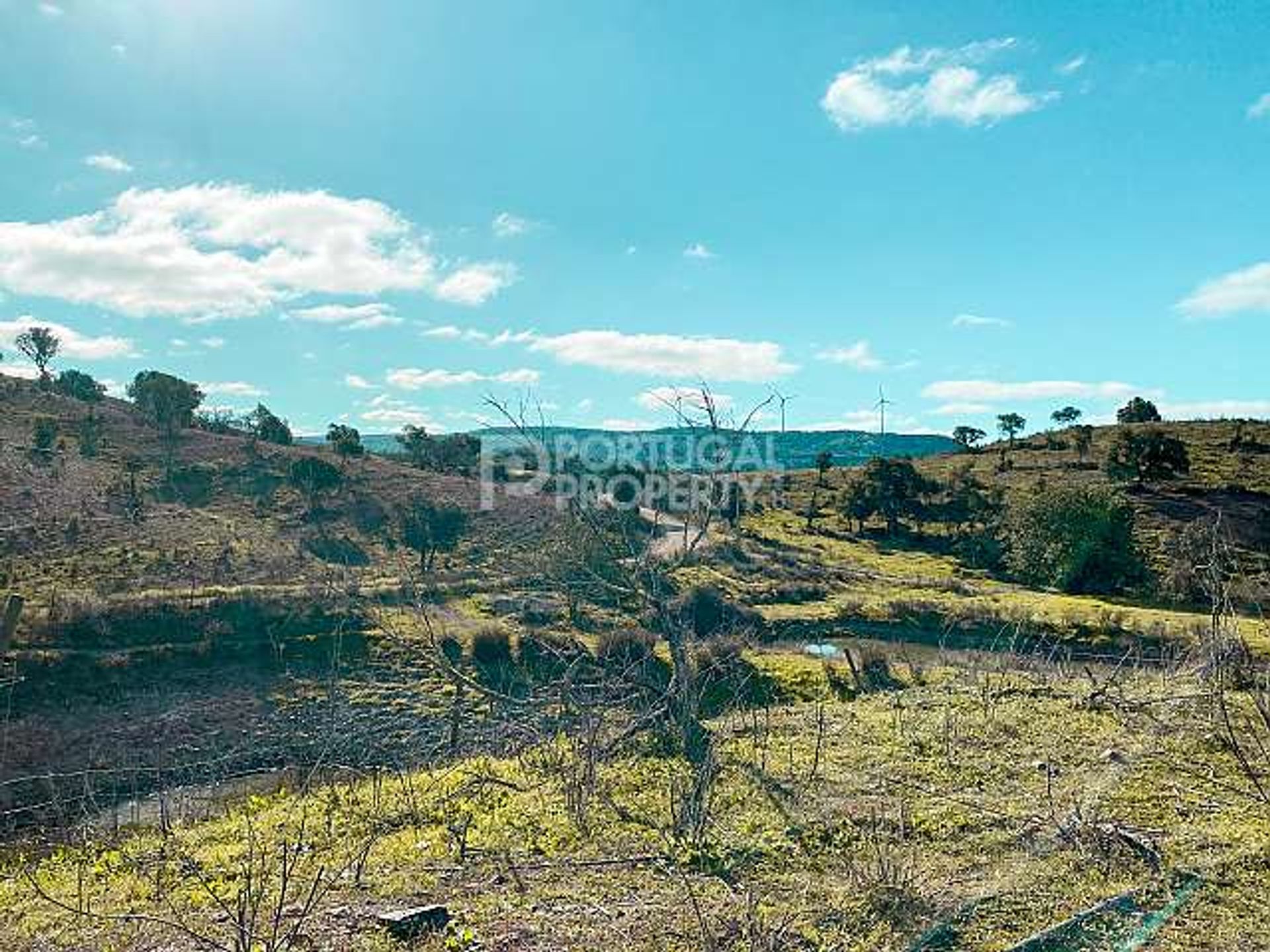 Land in Sao Bartolomeu de Messines, Faro 10166125