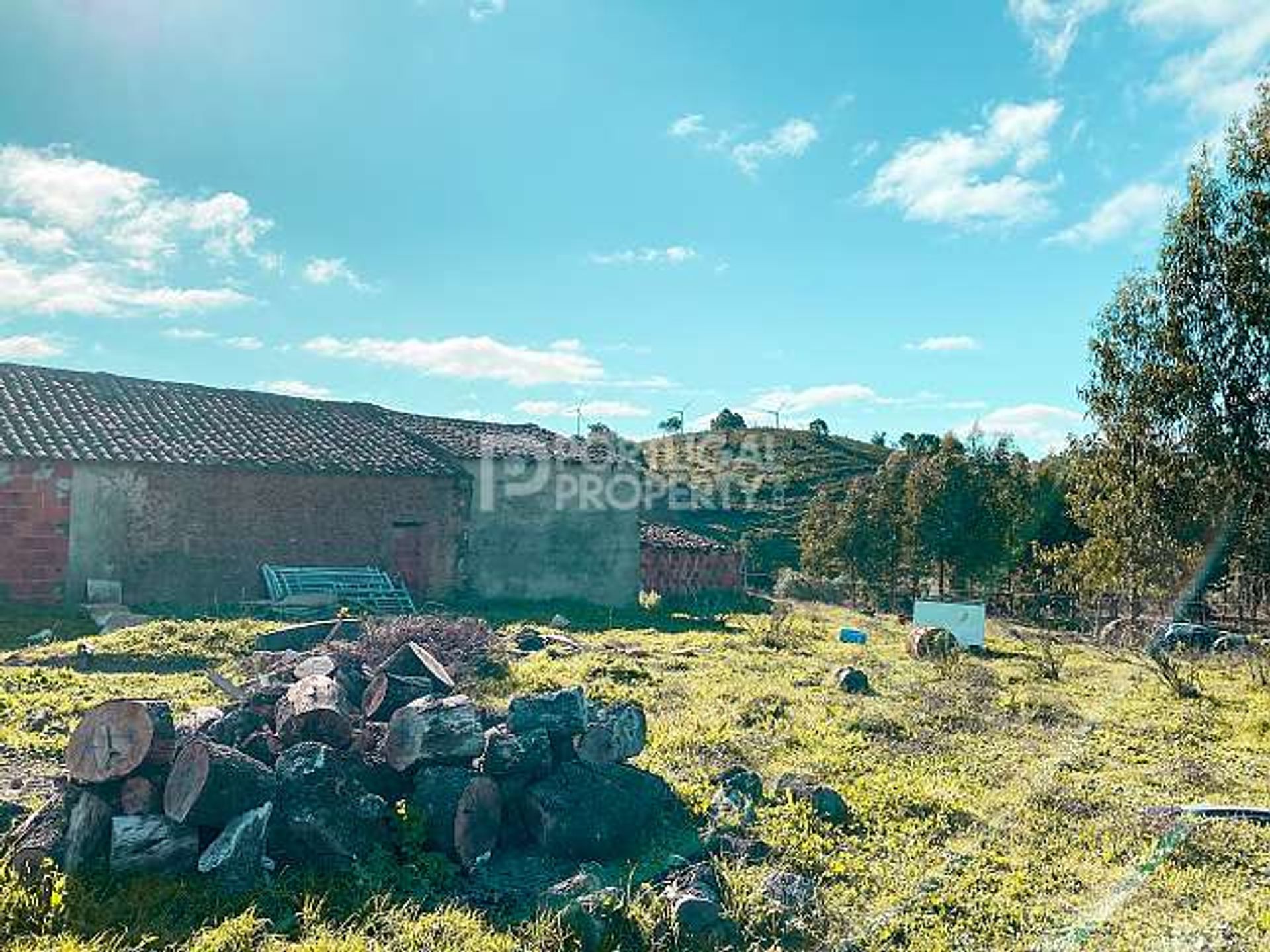 Jord i Sao Bartolomeu de Messines, Faro 10166125