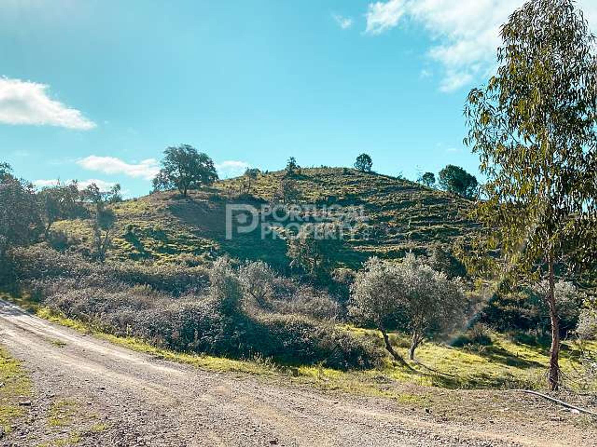 Tierra en Sao Bartolomeu de Messines, Faro 10166125