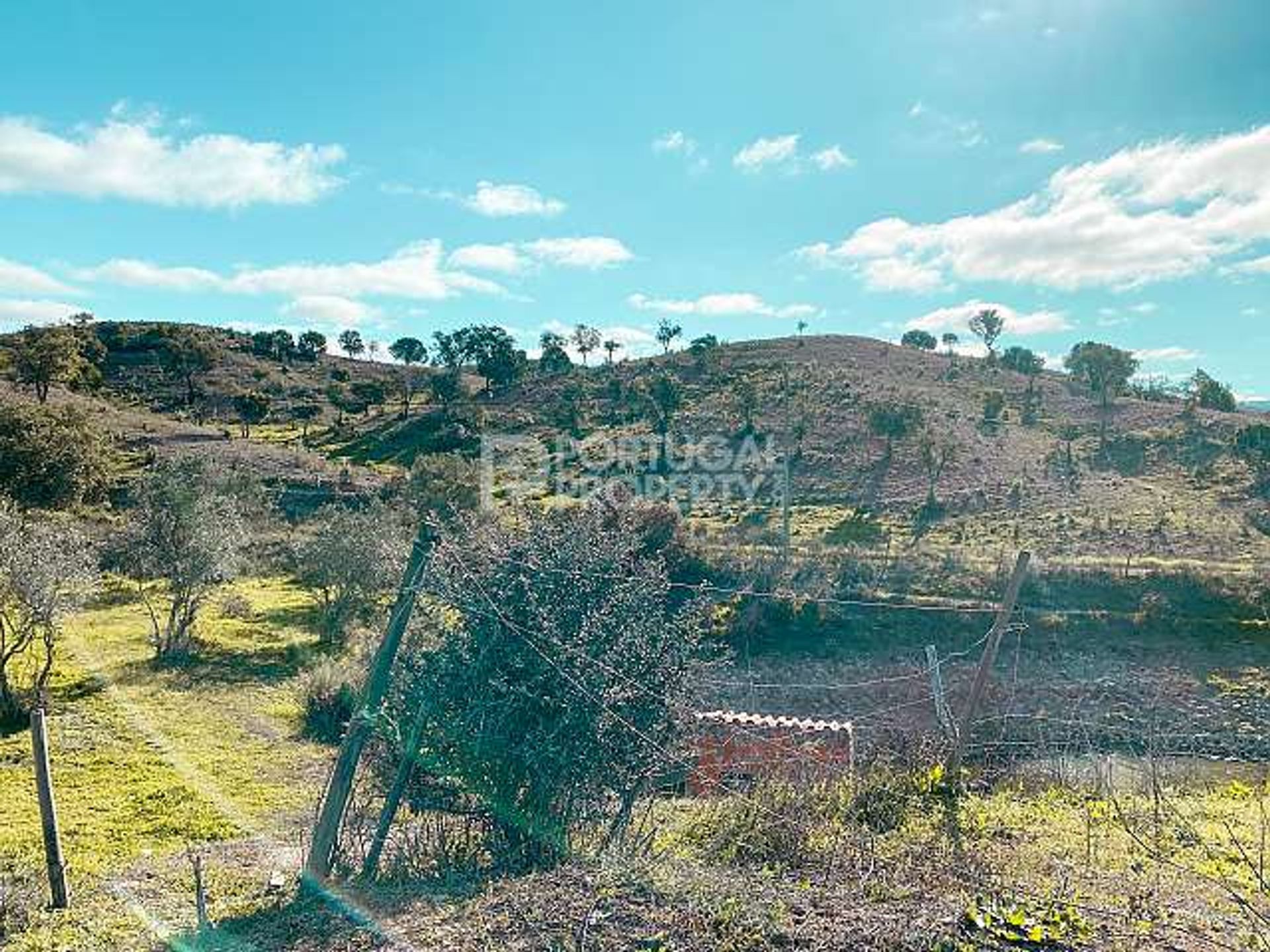 Γη σε Sao Bartolomeu de Messines, Faro 10166125