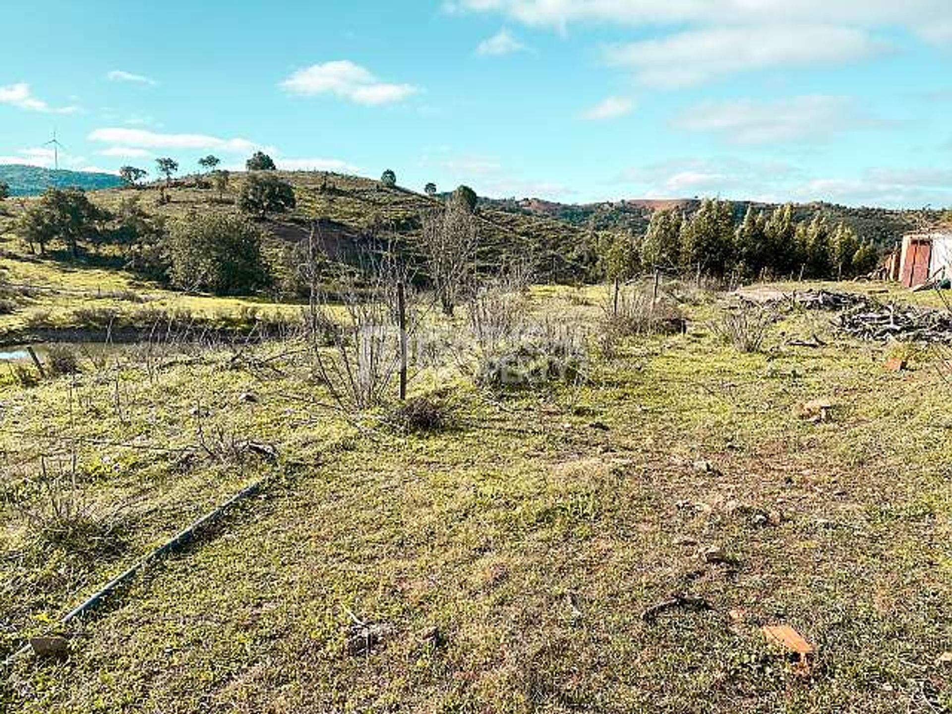 Tanah di São Bartolomeu de Messines, Faro 10166125