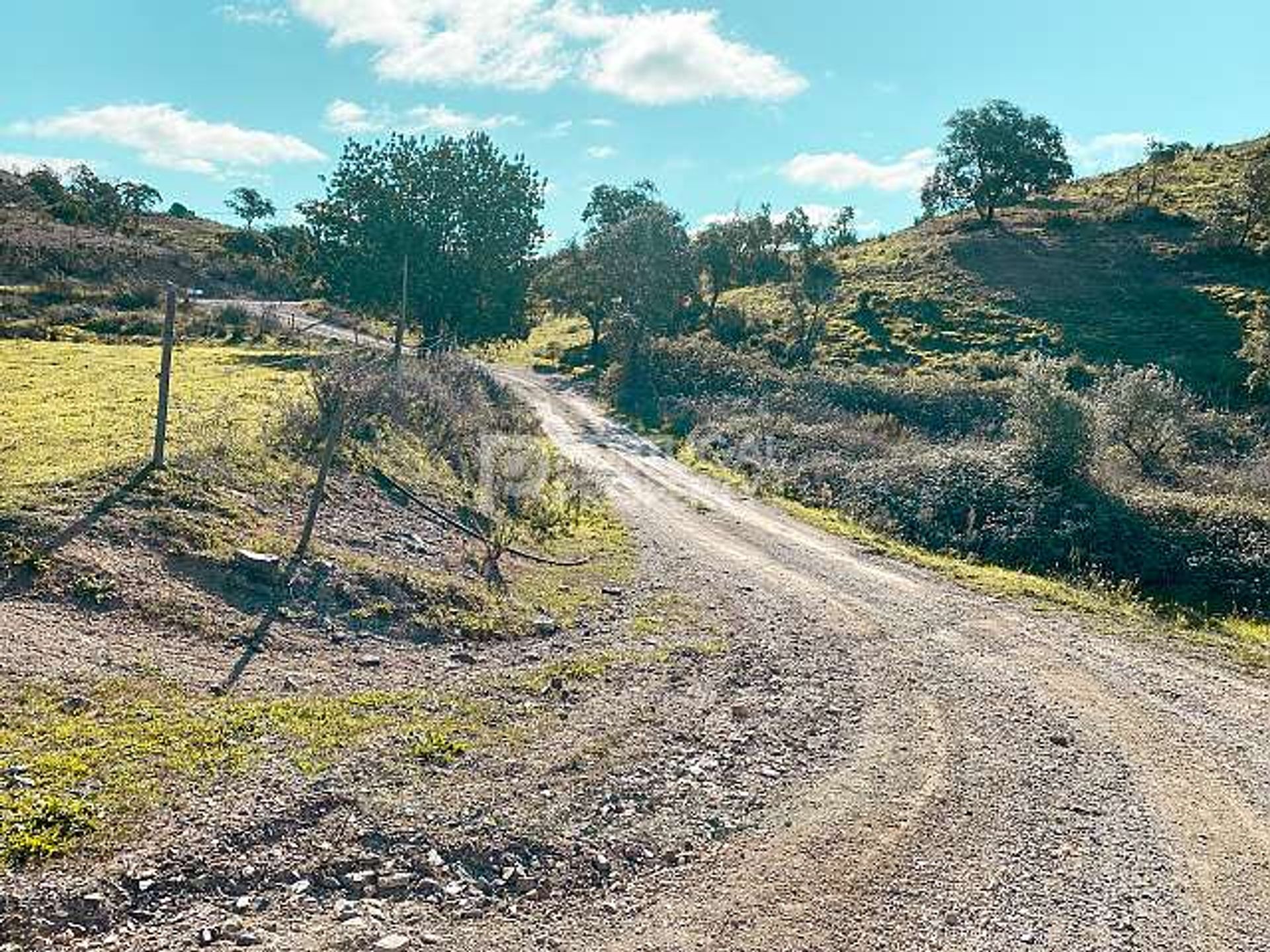 Tanah di São Bartolomeu de Messines, Faro 10166125