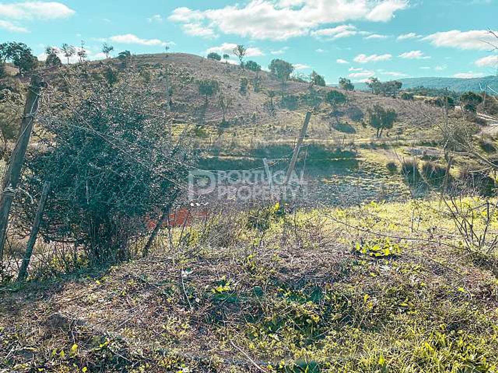 Tanah di São Bartolomeu de Messines, Faro 10166125