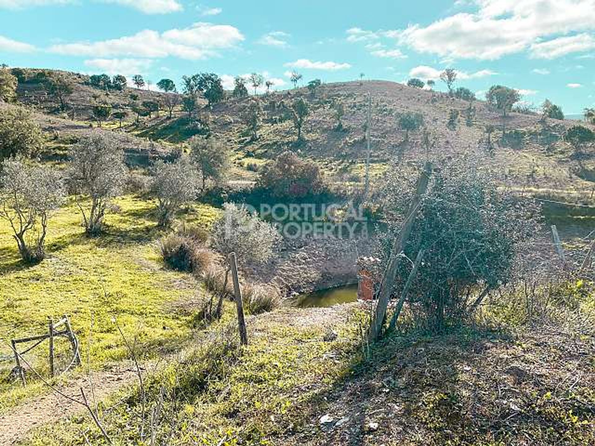 Tanah di São Bartolomeu de Messines, Faro 10166125