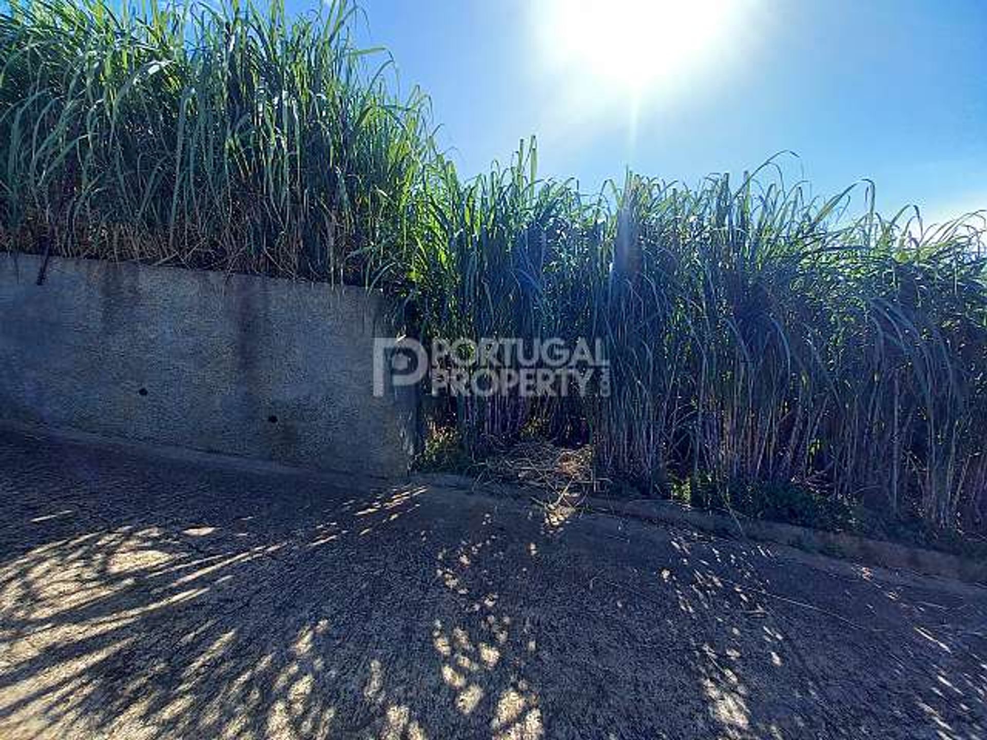 Земельные участки в Ponta Do Sol, Madeira 10166138