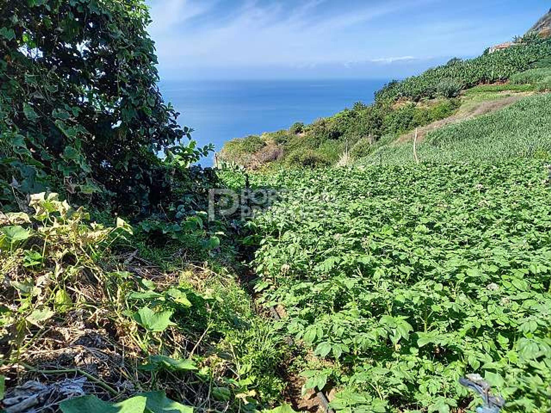 Земельные участки в Ponta Do Sol, Madeira 10166138