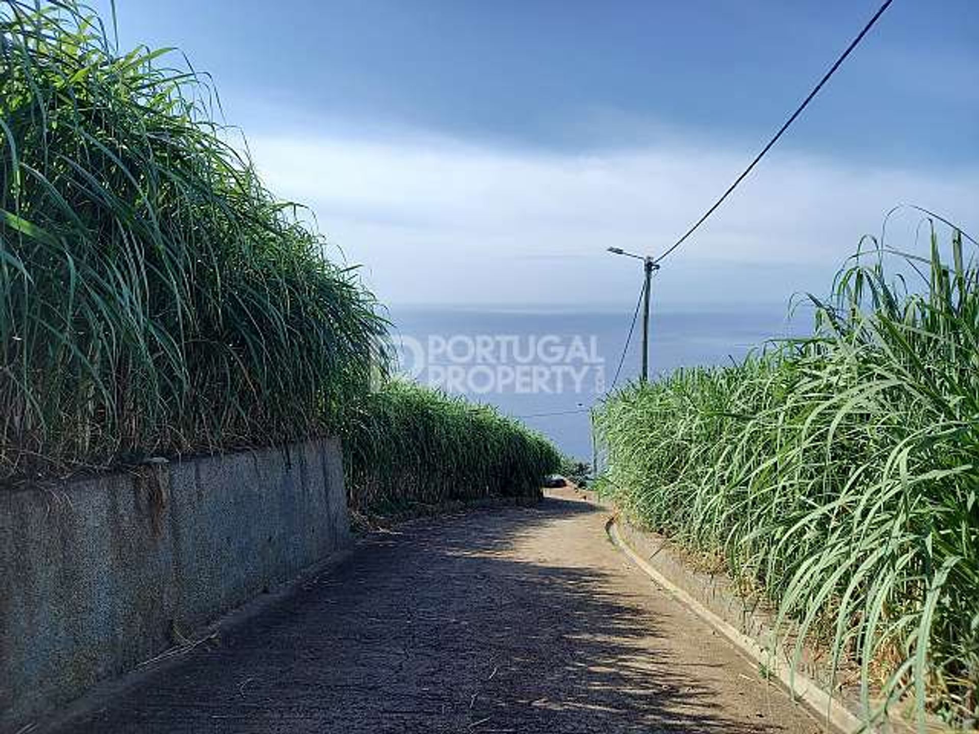 Земельные участки в Ponta Do Sol, Madeira 10166138