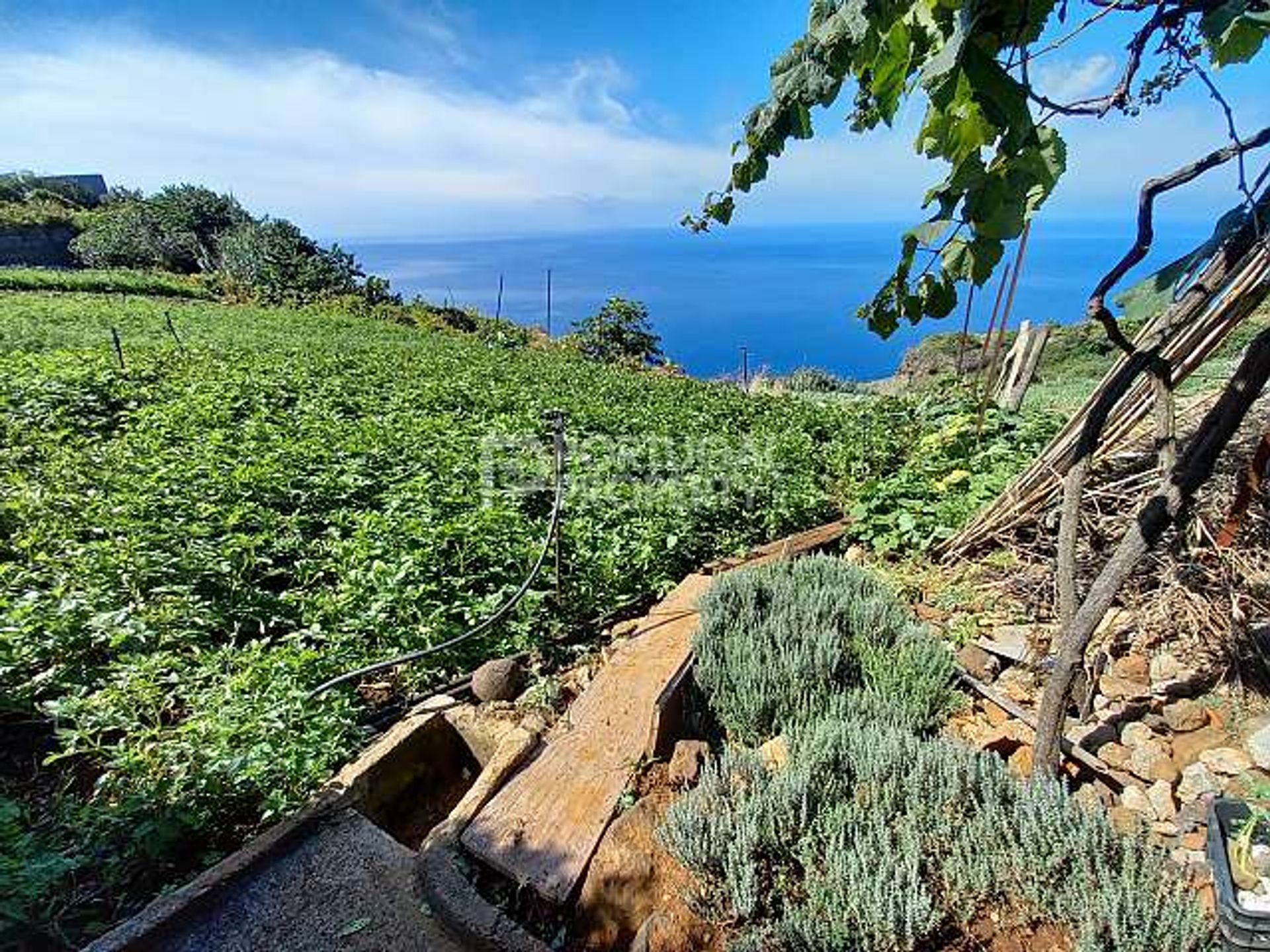 Земельные участки в Ponta Do Sol, Madeira 10166138